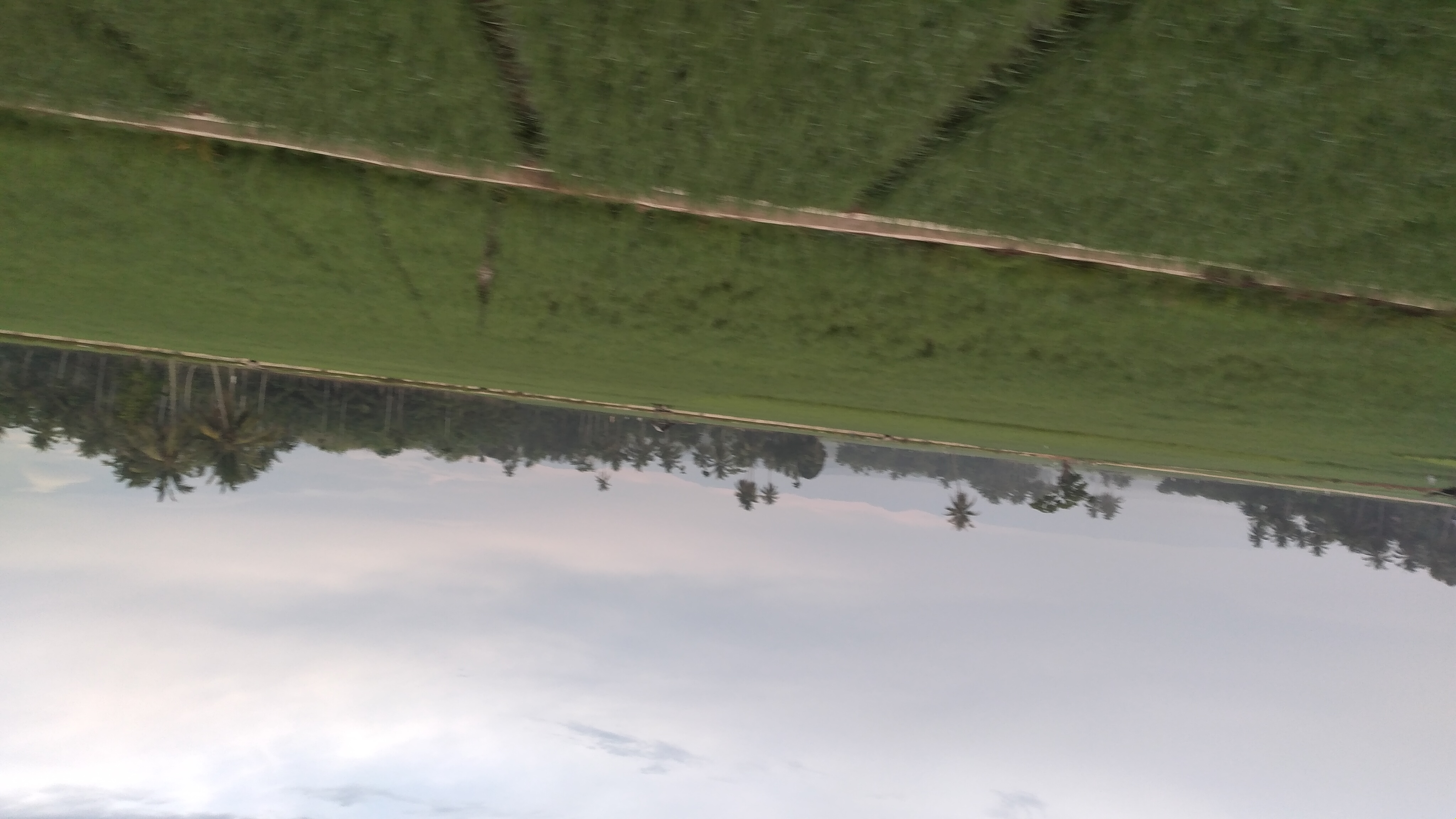 20240310_070133.jpg