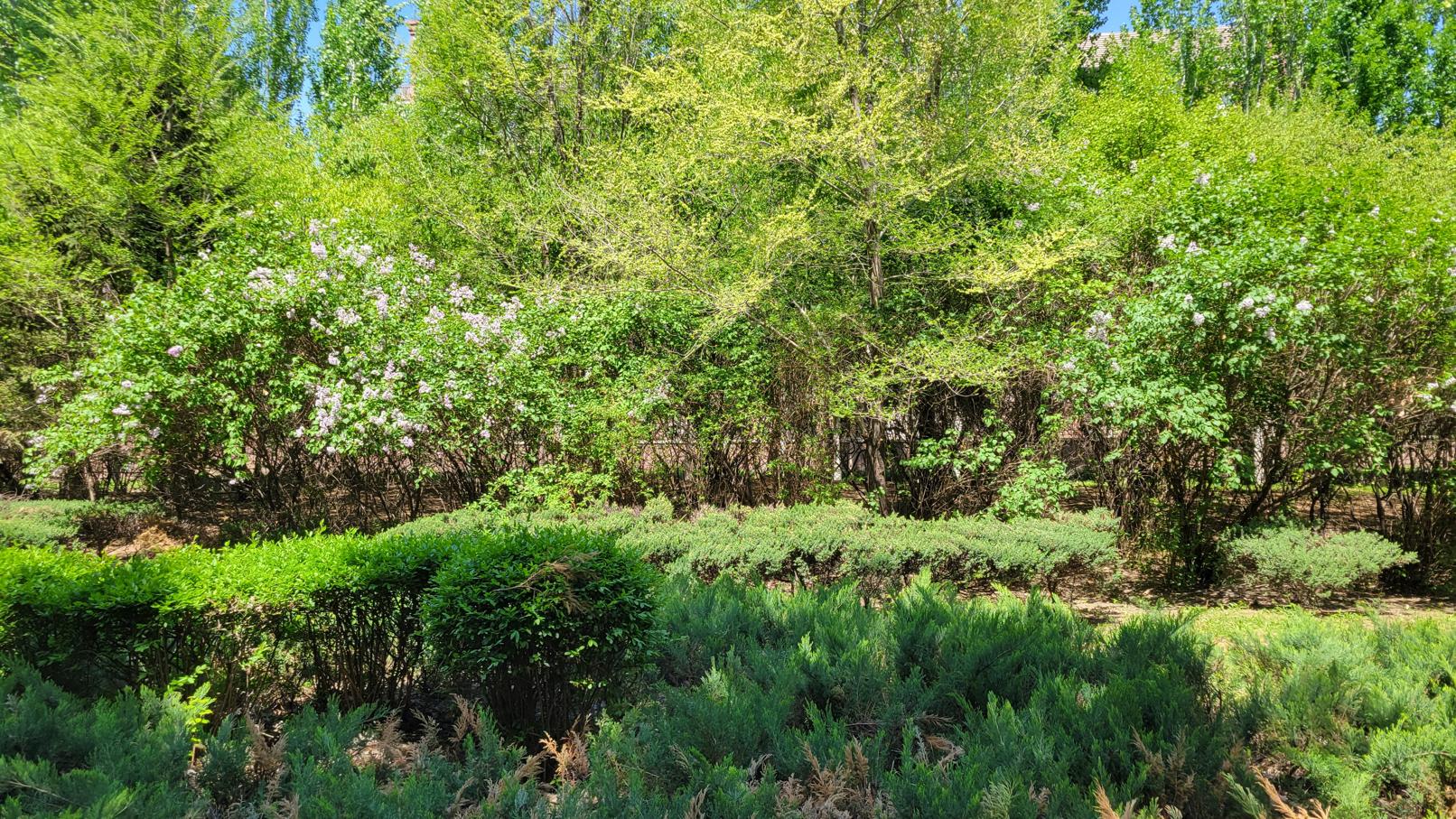 20240501_111903.jpg