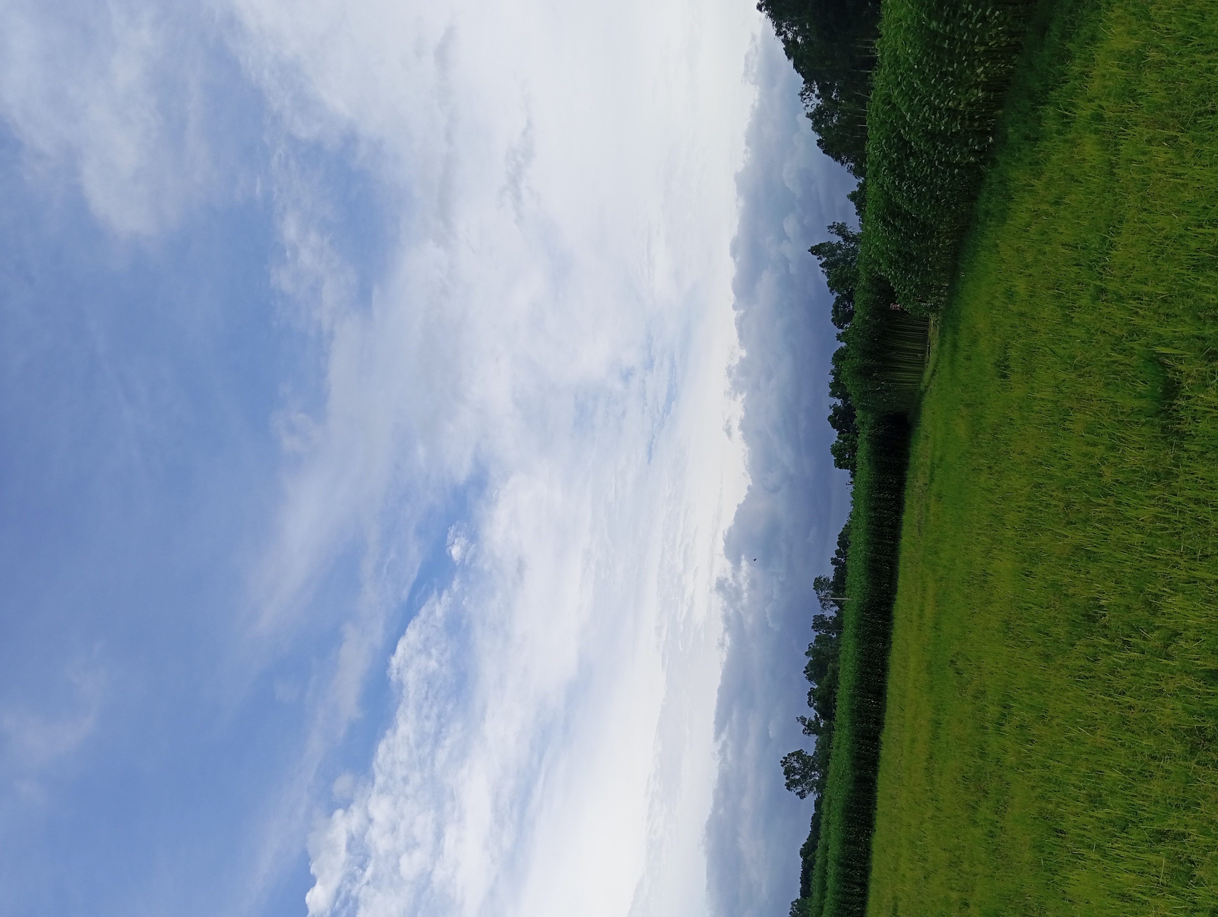 IMG_20250725_163855.jpg