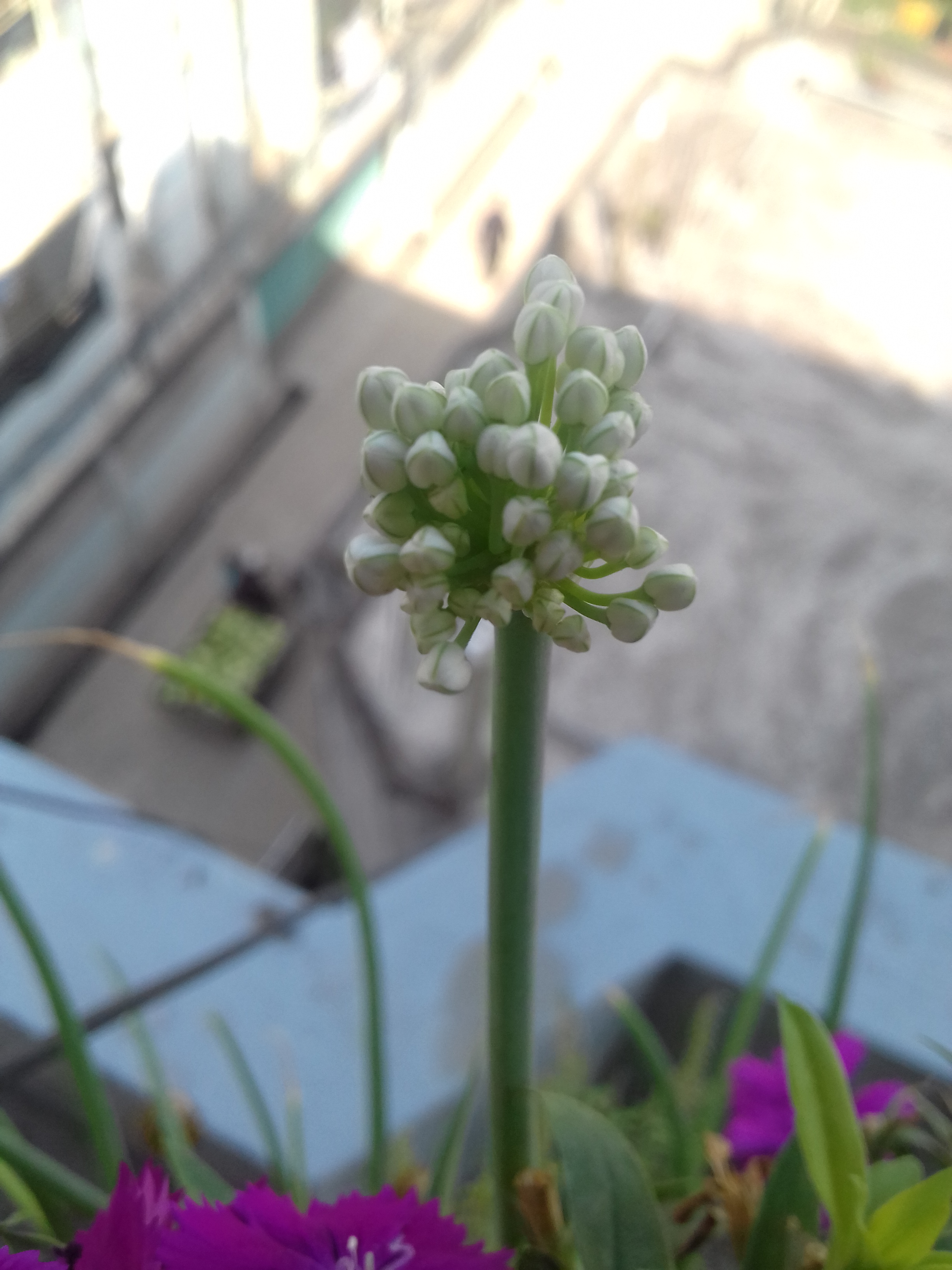20190405_142944.jpg