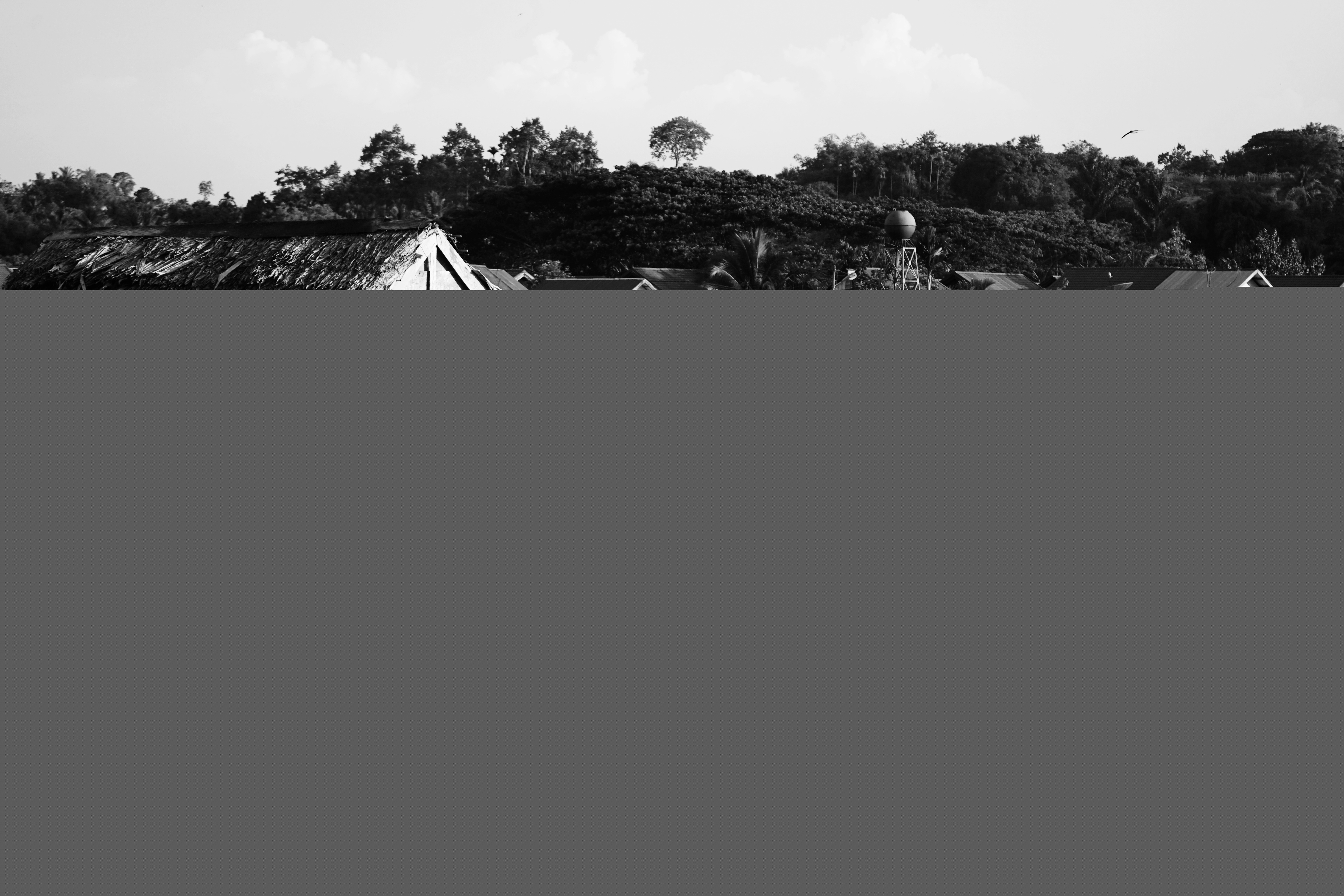 DSC02182-02.jpeg