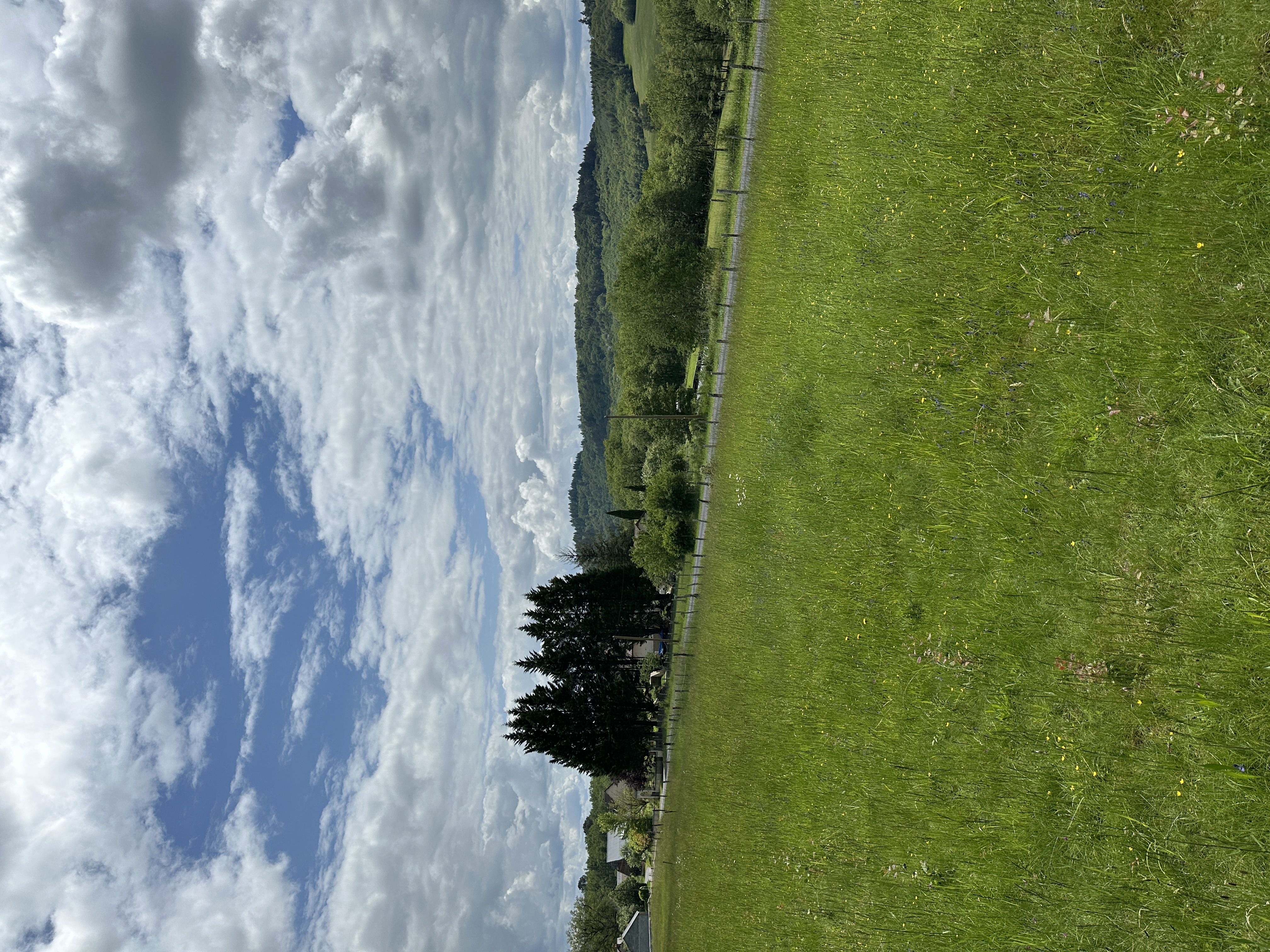 IMG_2723.jpeg