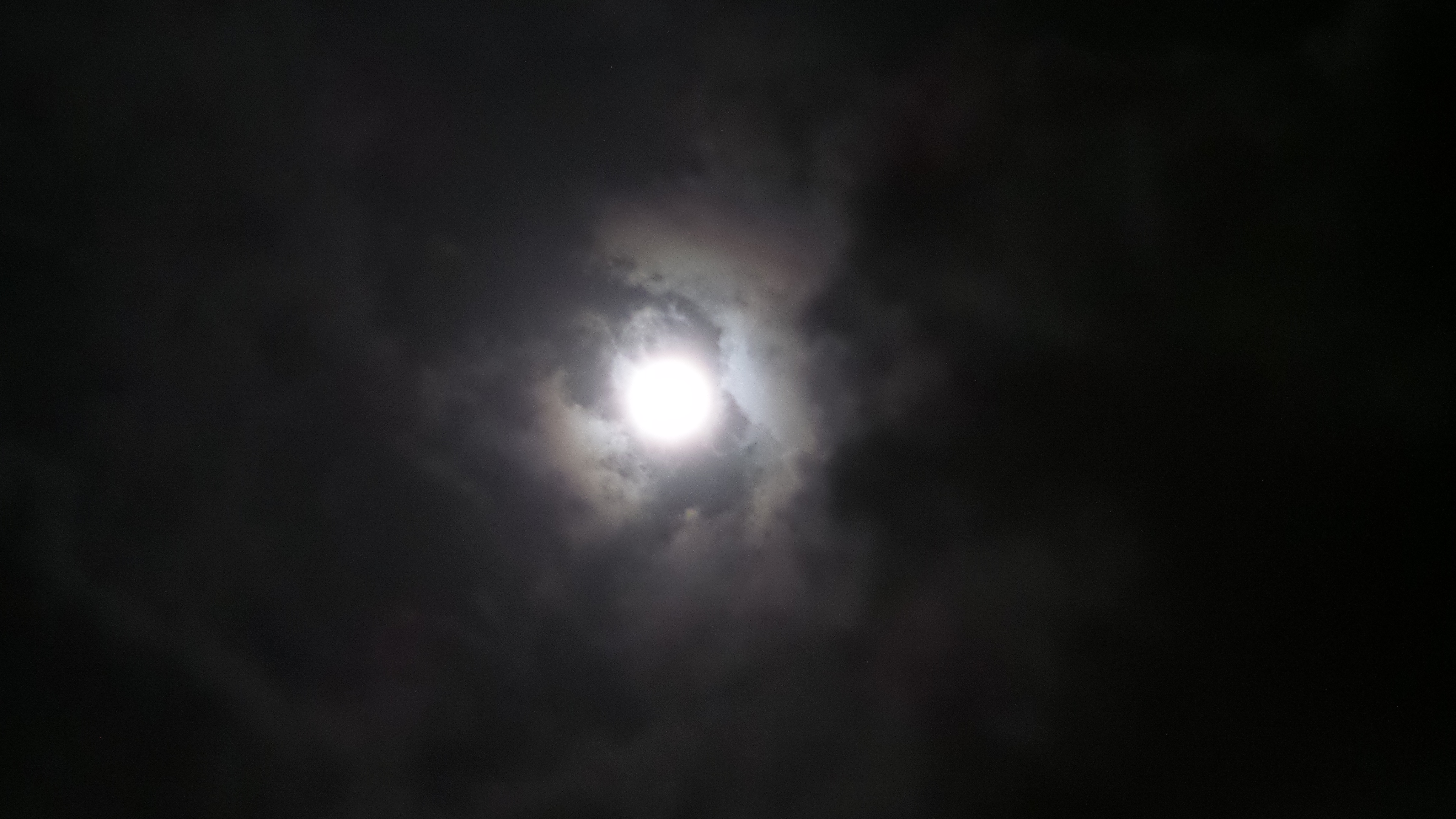 hermosa luna.jpg