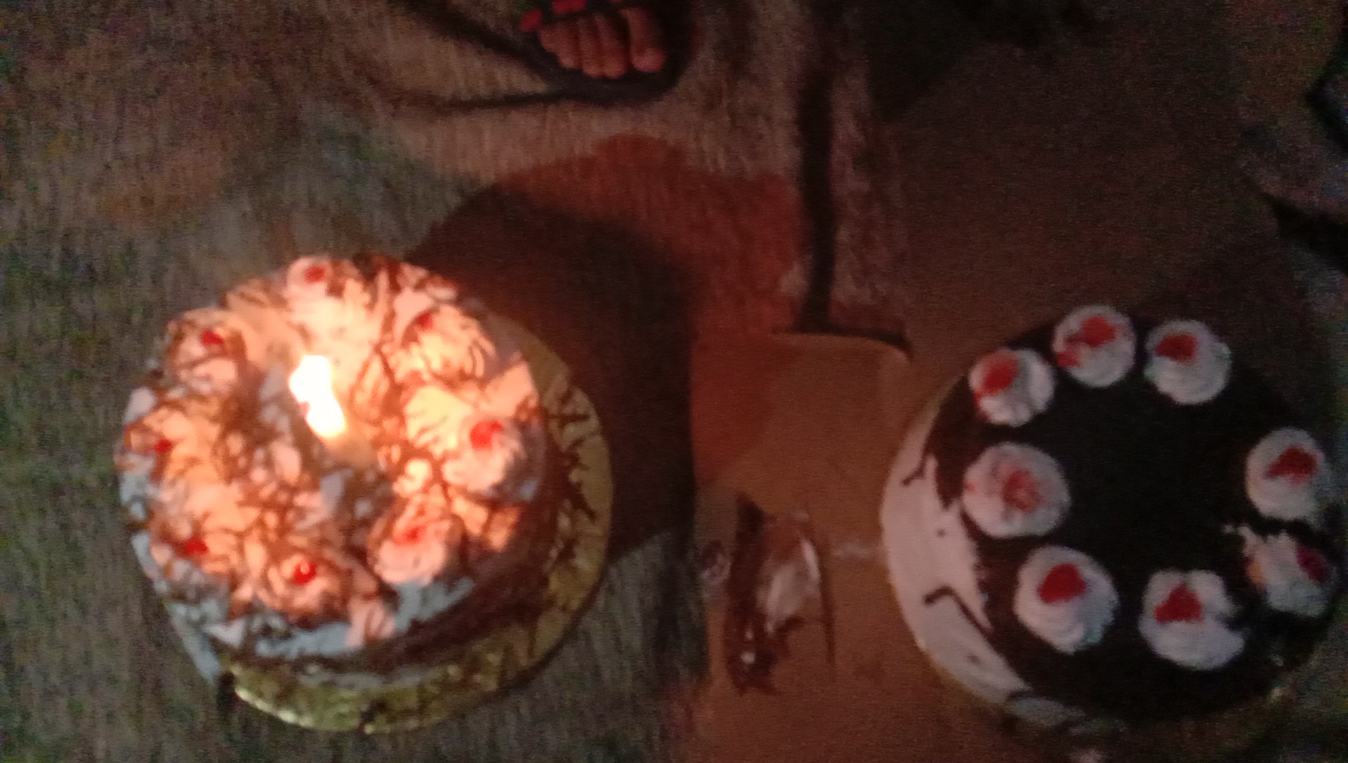 IMG_20250805_195529.jpg