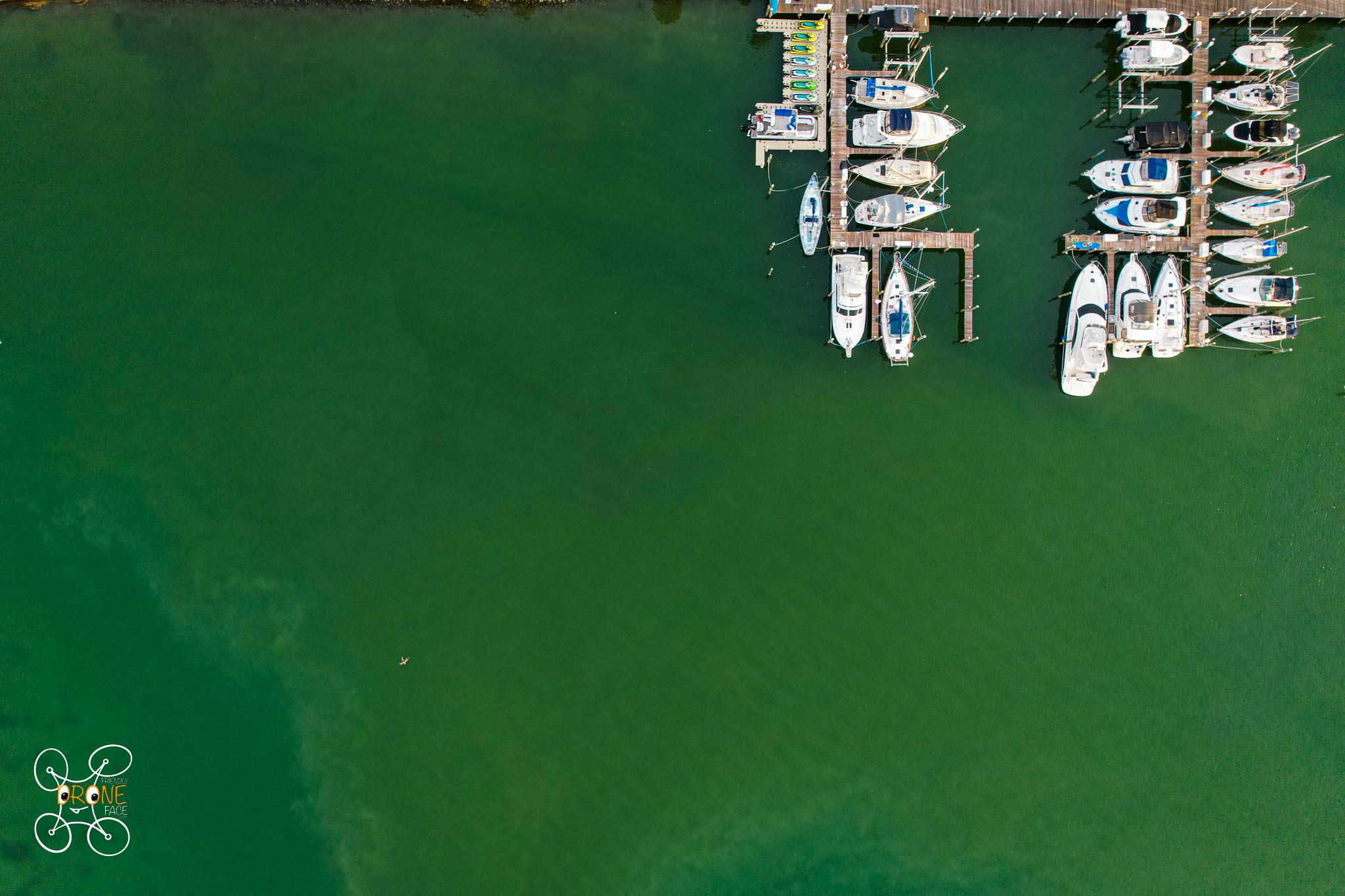 DJI_0662.jpg