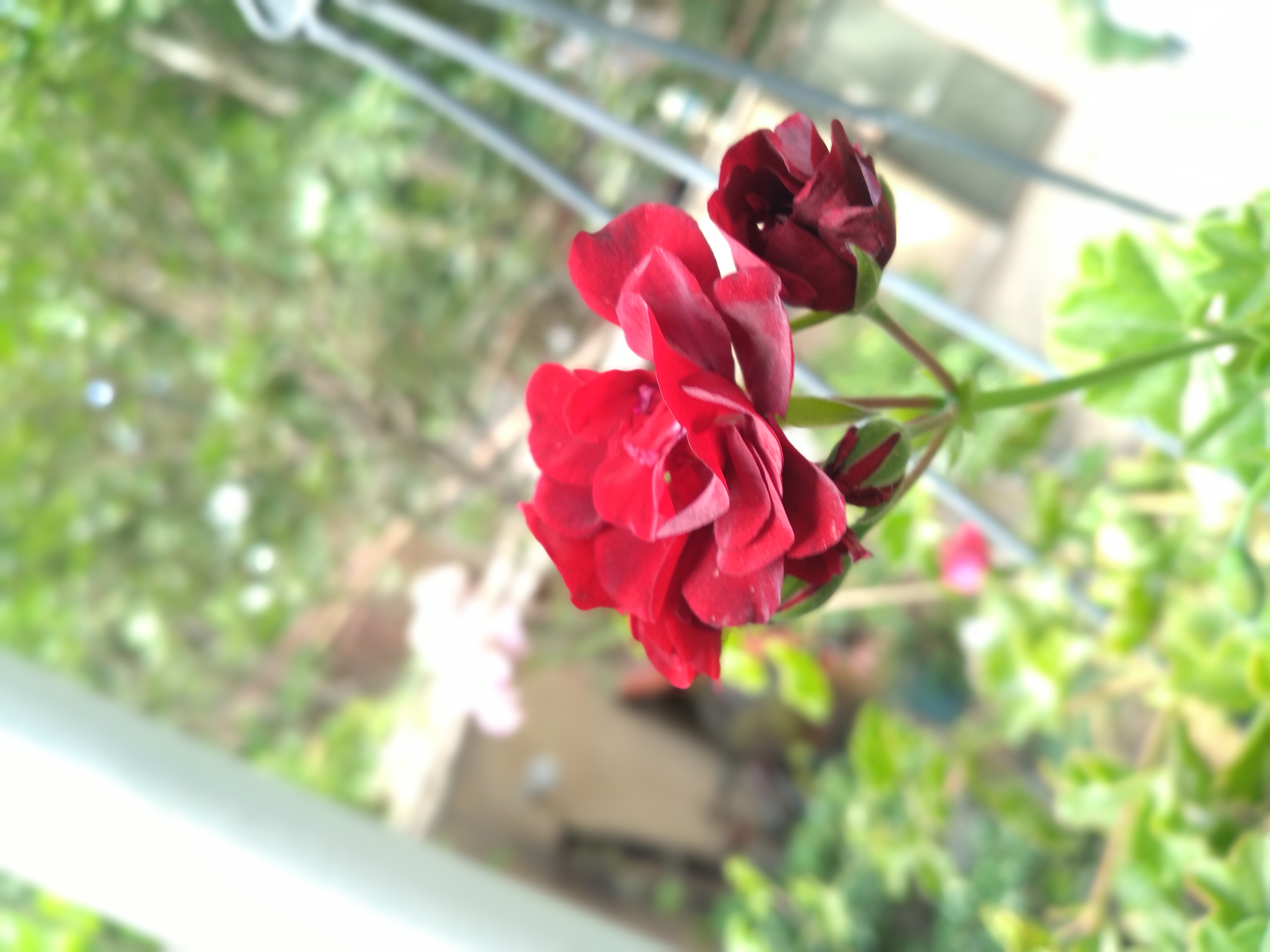 20230601_083549.jpg
