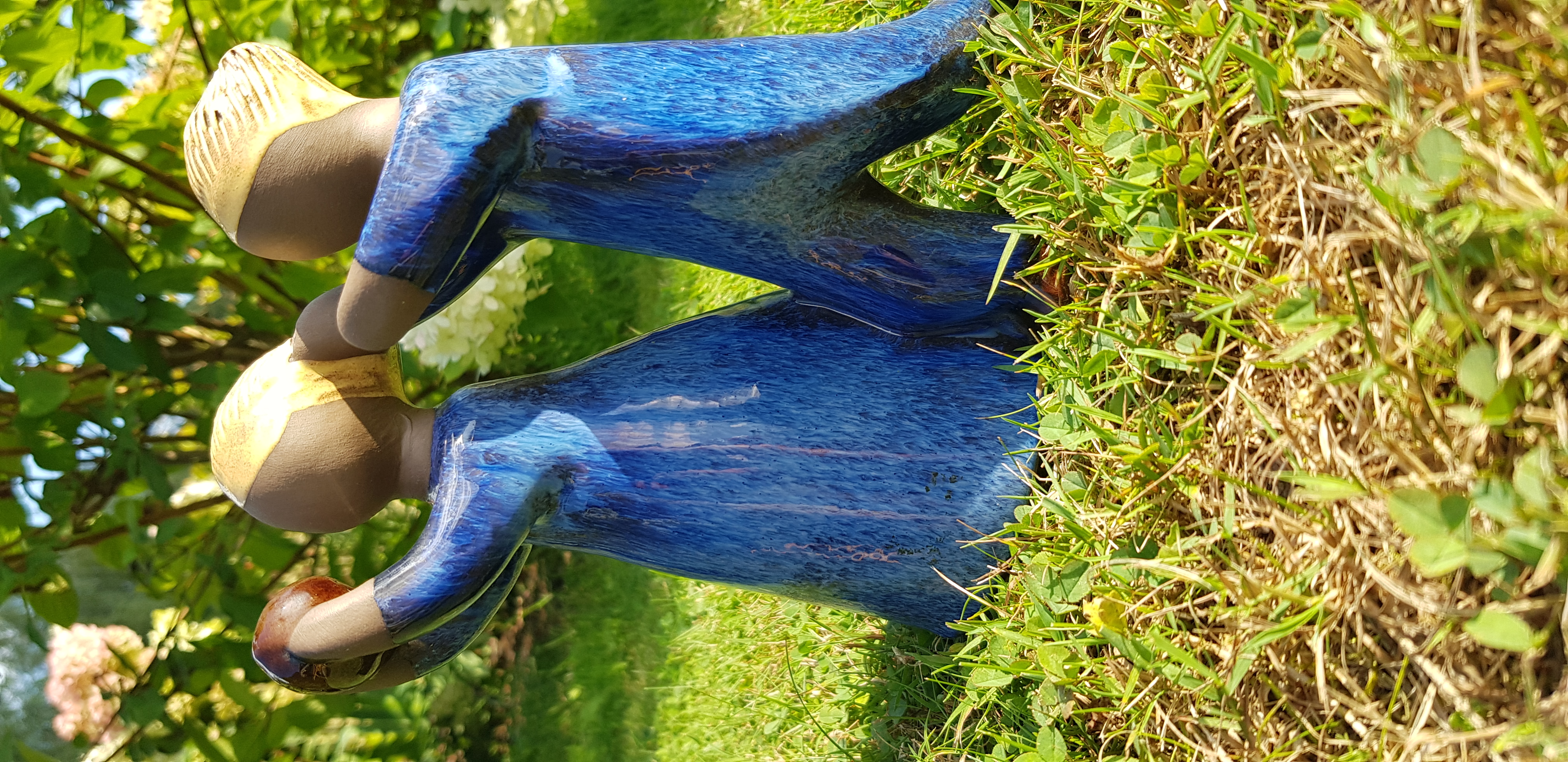 20240806_164531.jpg