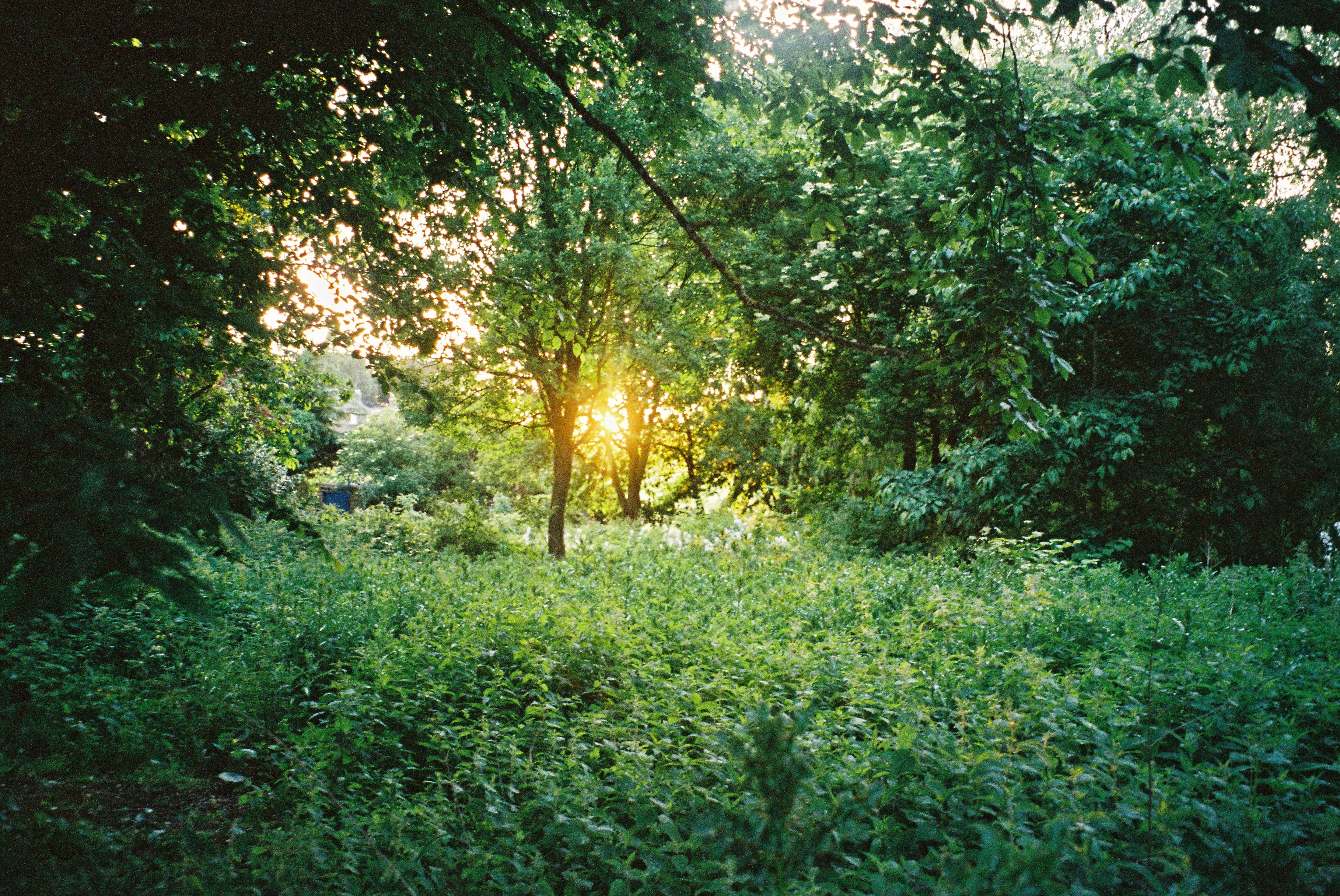 000035.JPG