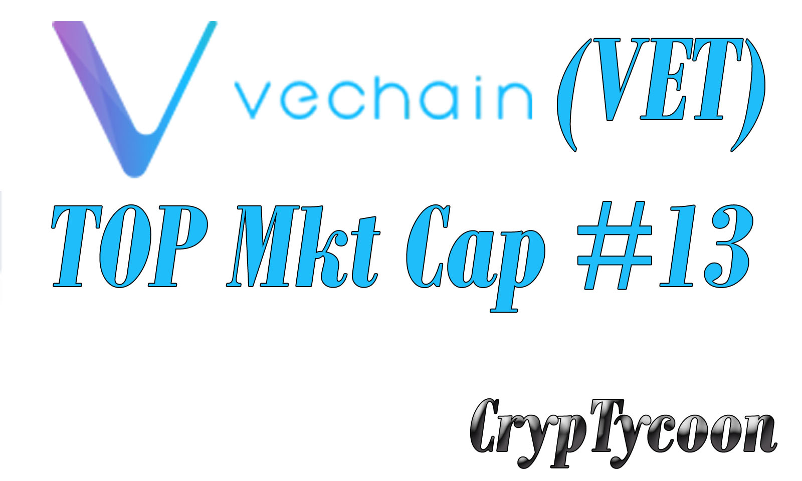 CT_VET_MKT_CAP_2021.jpg