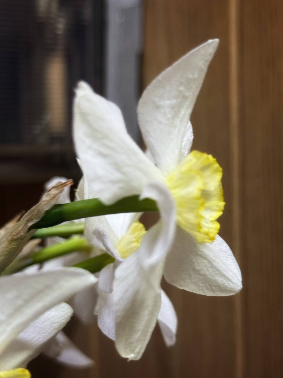 IMG_2555.jpeg