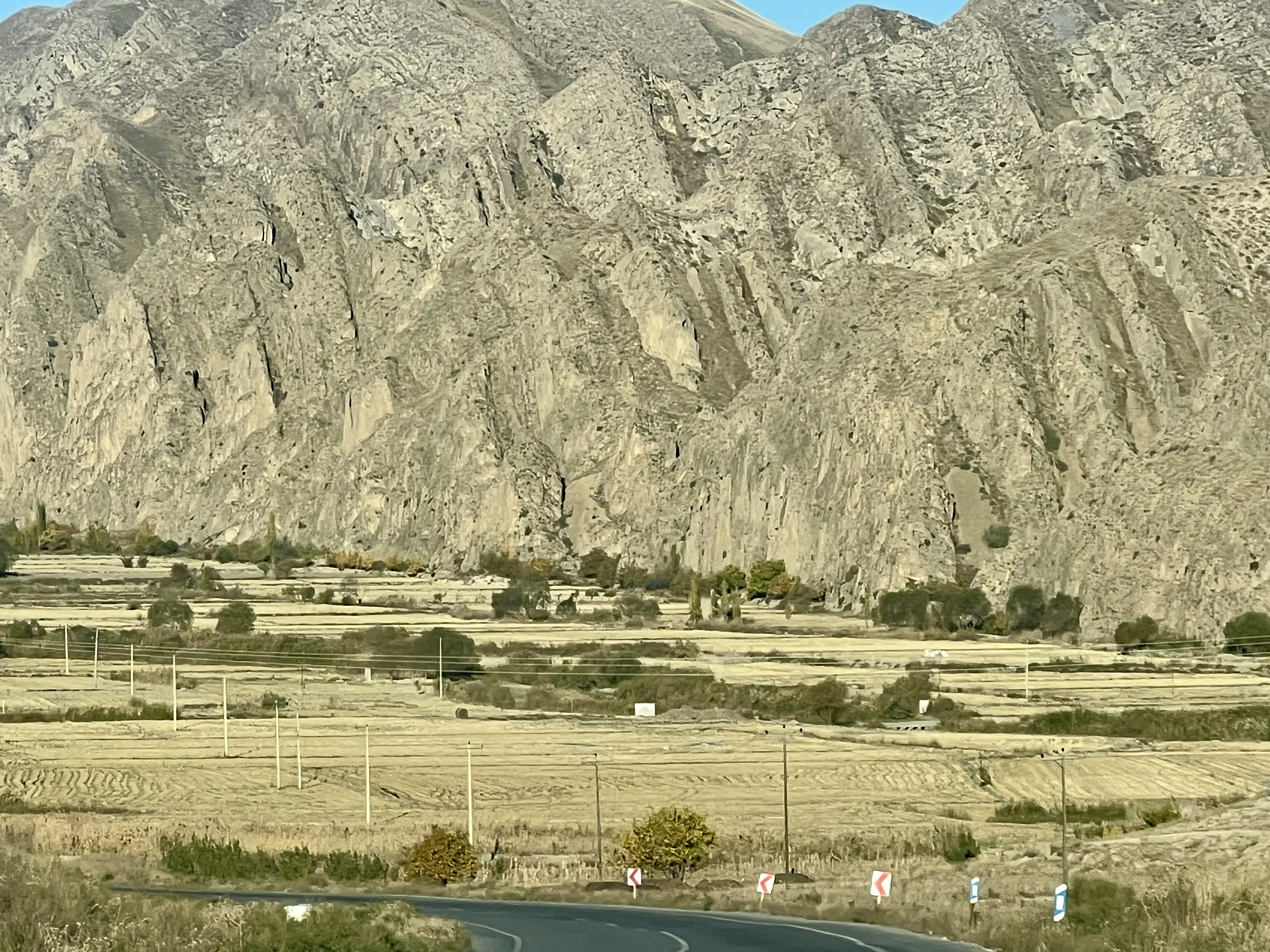 IMG_1276.jpeg