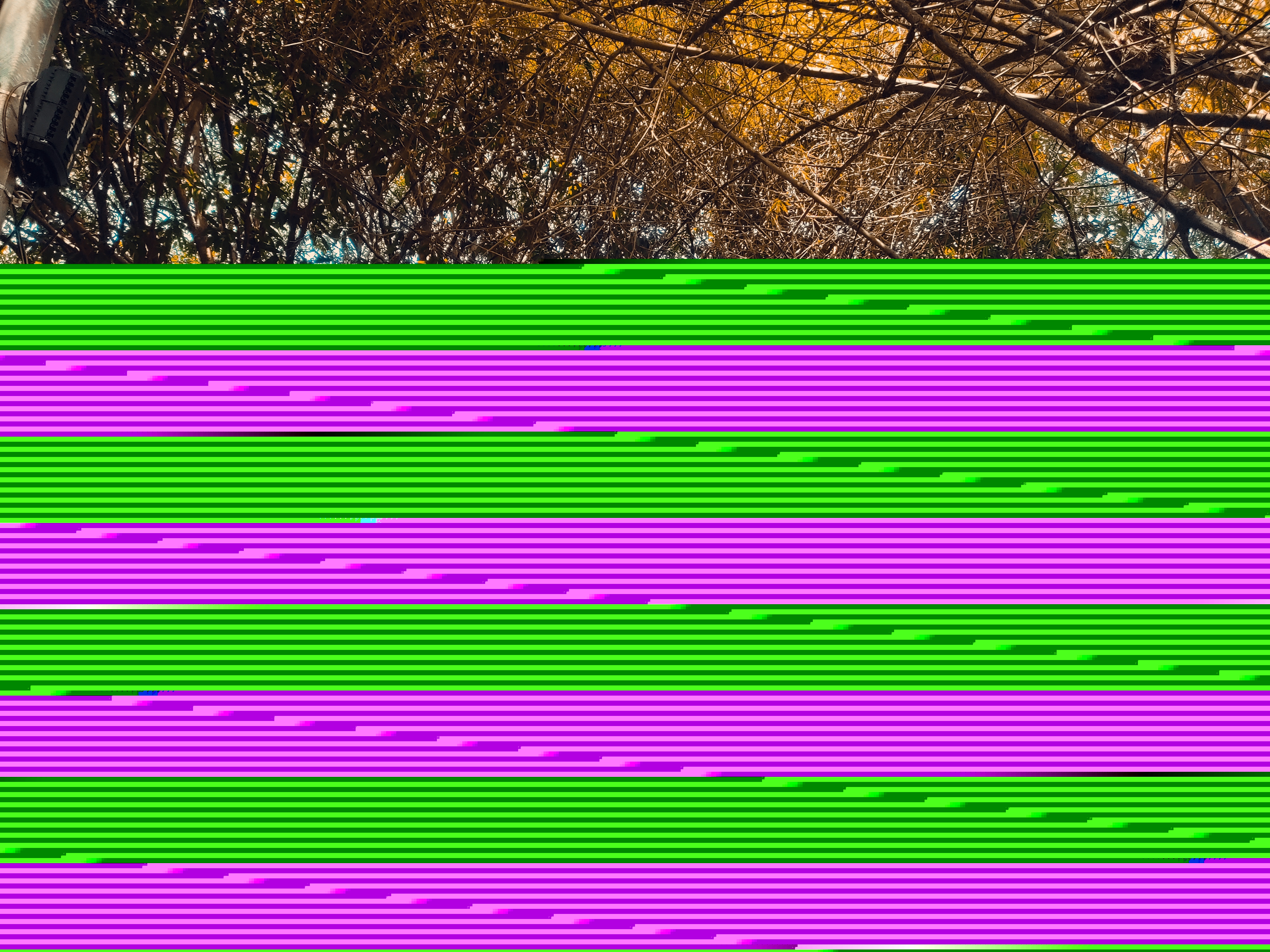 https://images.hive.blog/DQmUjXiSKt5kGa79yWuQ7ipR6FH3kTRRgRSeYGikT21JmNG/IMG_20230919_094504.jpg