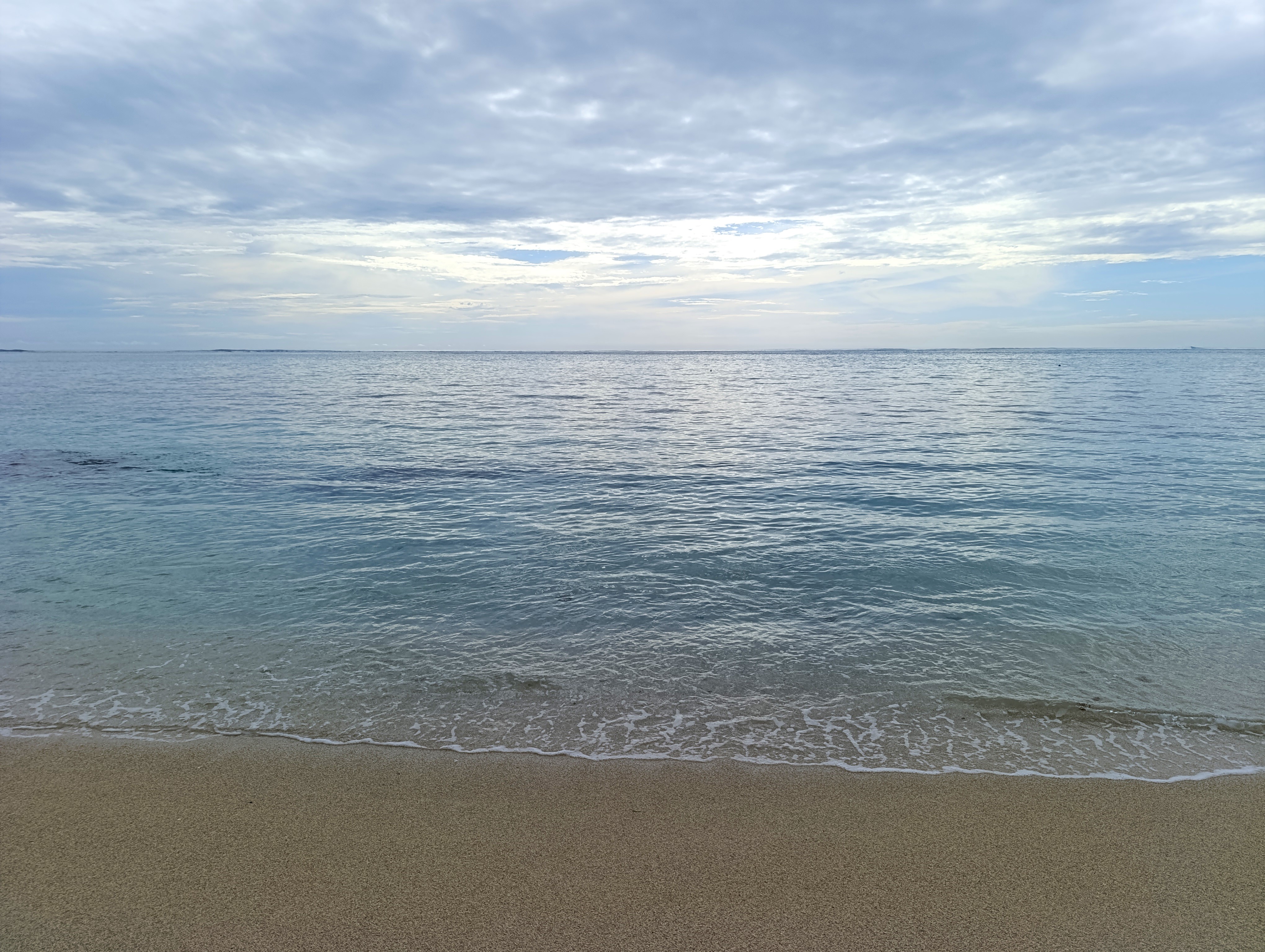 IMG_20250408_154350.jpg