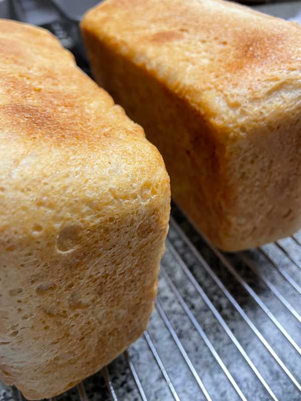 recipe-sourdough-bread-6.jpg