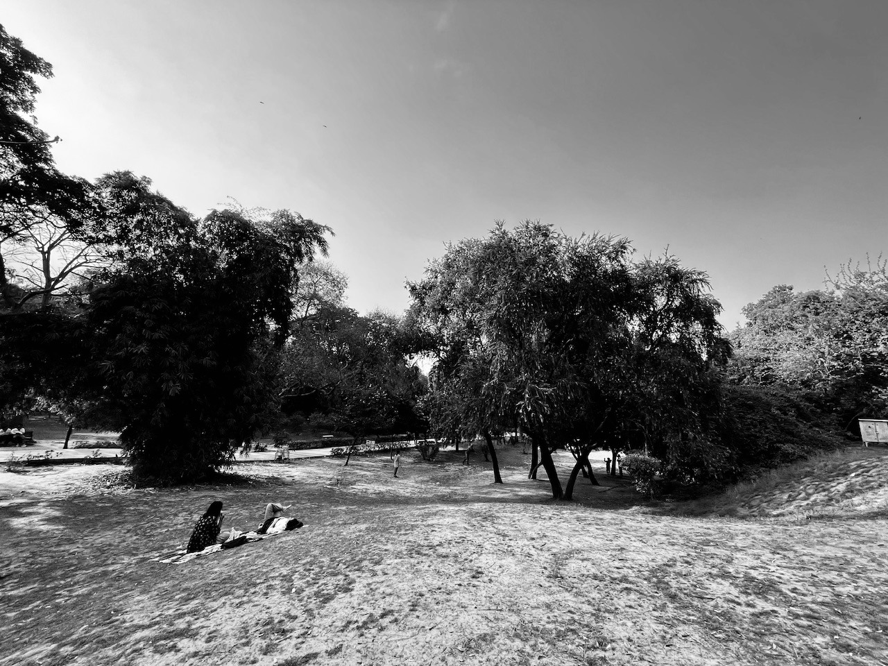 IMG_7931.jpeg