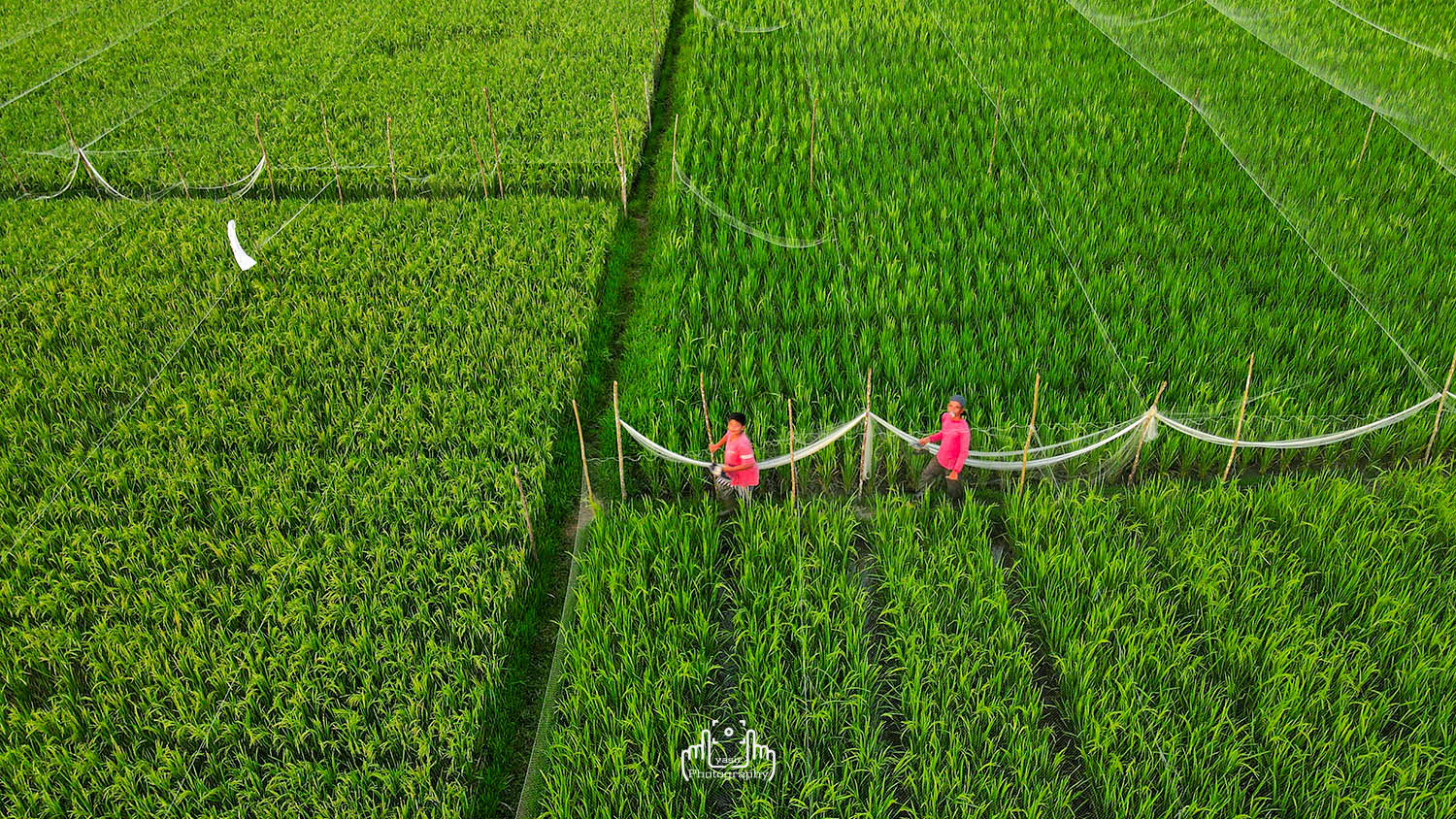 DJI_0332.JPG