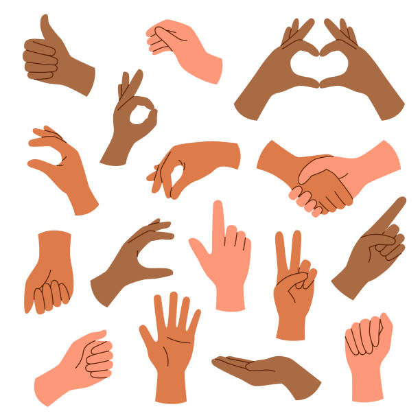 istockphoto-1884368695-612x612.jpg