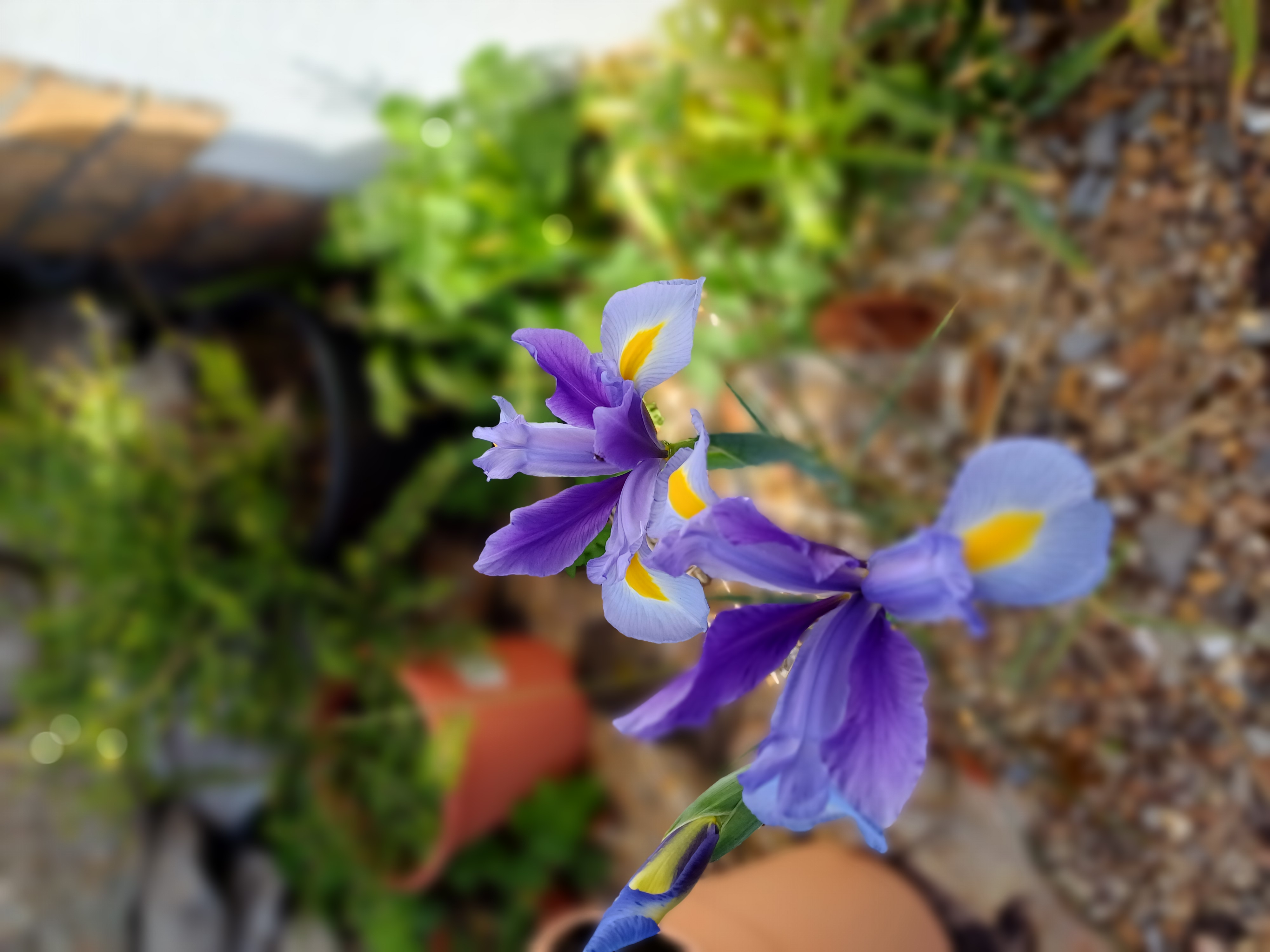 20250505_164226.jpg