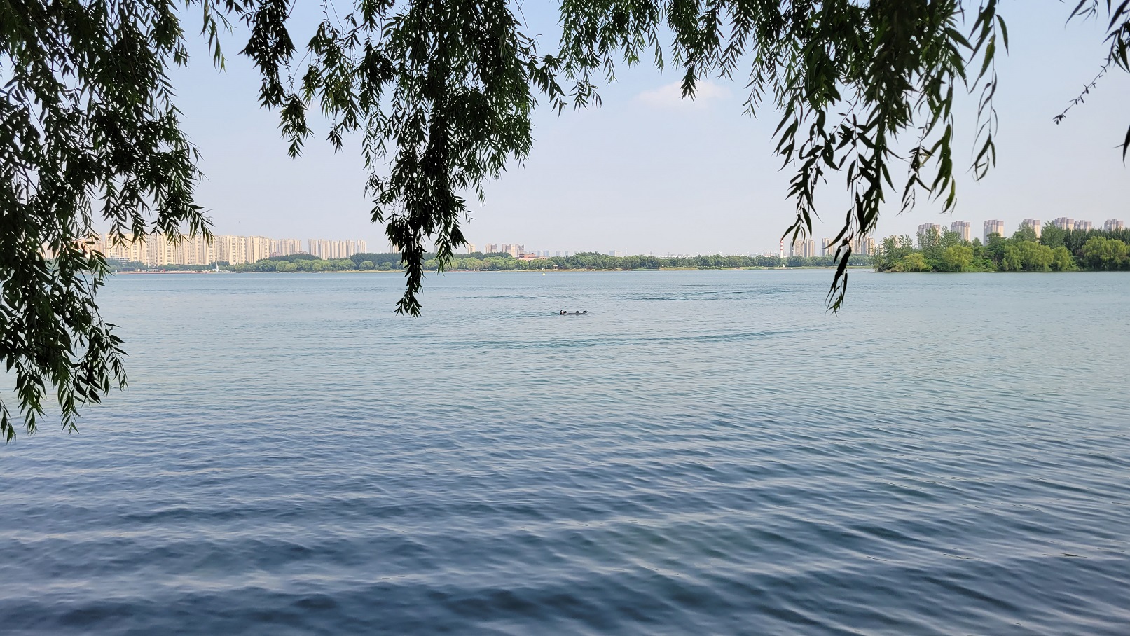 20230718_141415.jpg