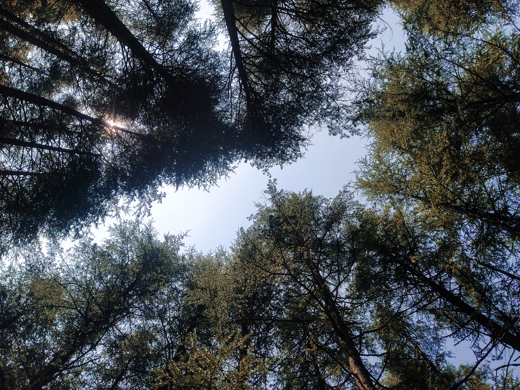 0D10E077-E6DE-4C0D-85AB-1ABBCFE82947_1_105_c.jpeg