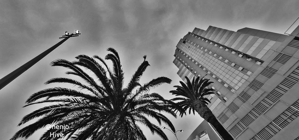 torre-obelisco-003-bw.jpg