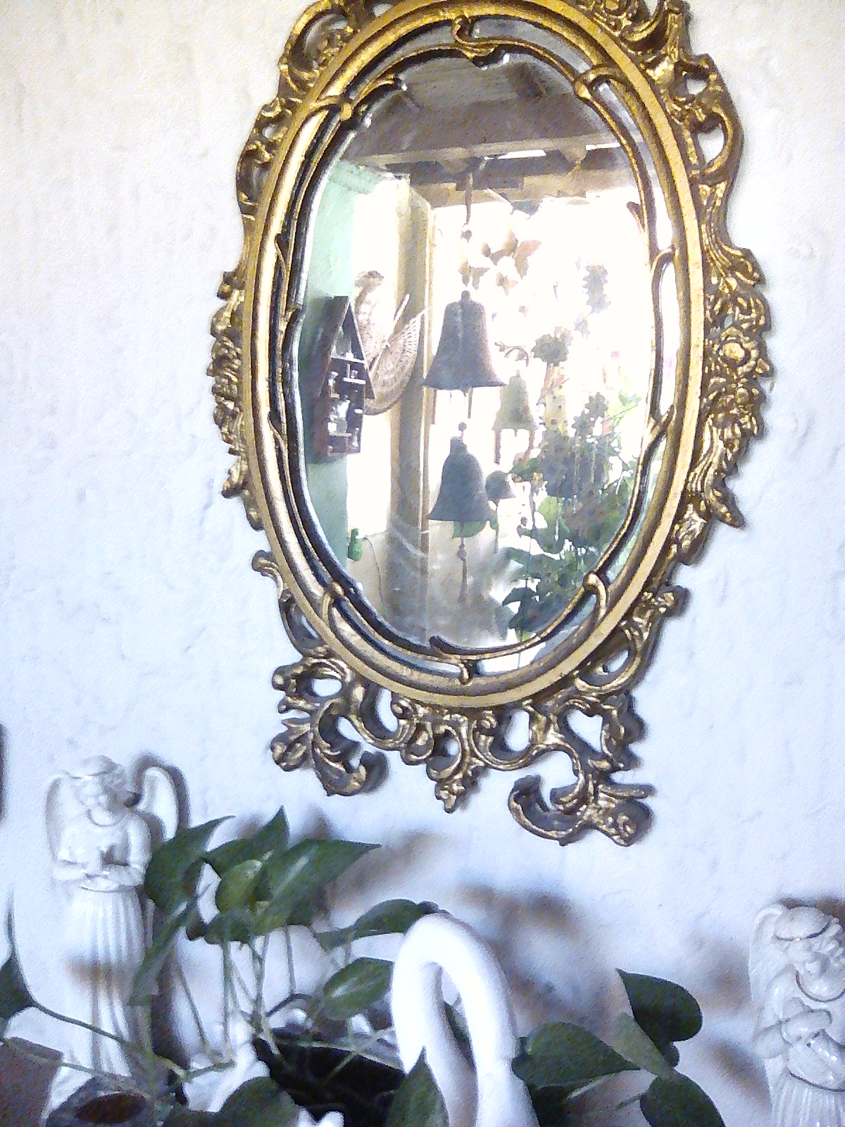 reflejo Carmencitavdc.jpeg