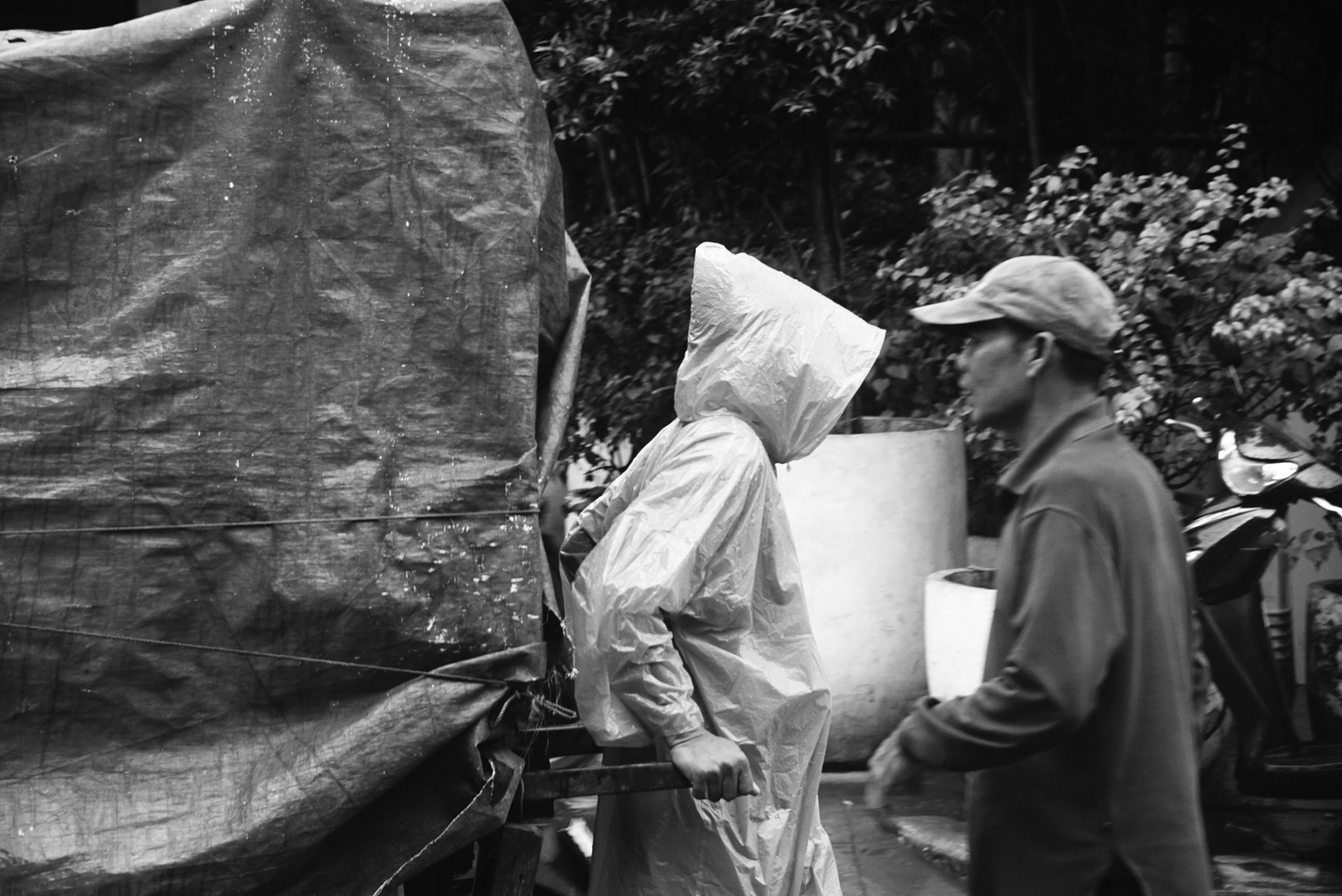 DSC04401-01.jpeg