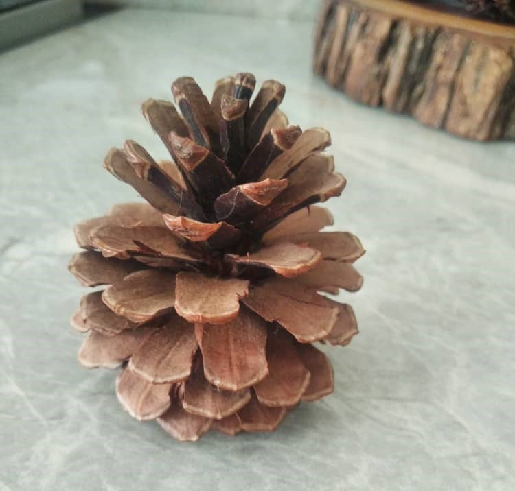 IMG-20221228-WA0019.jpg