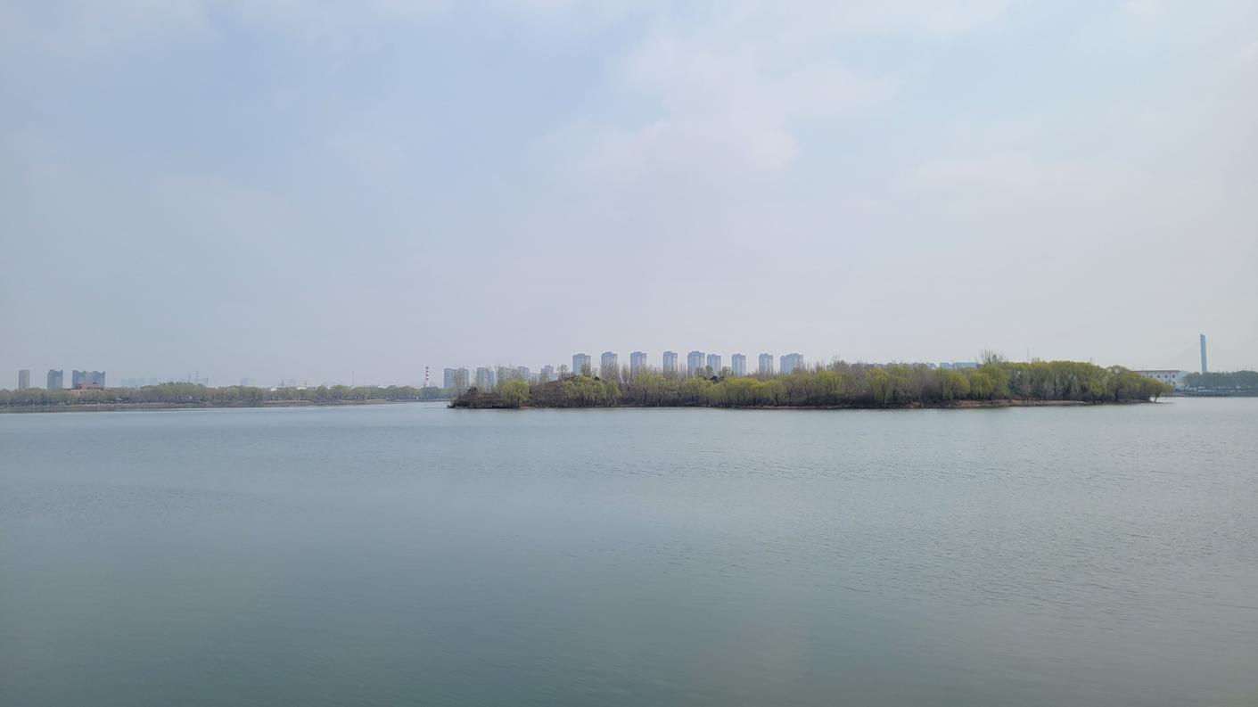 20250415_123928.jpg