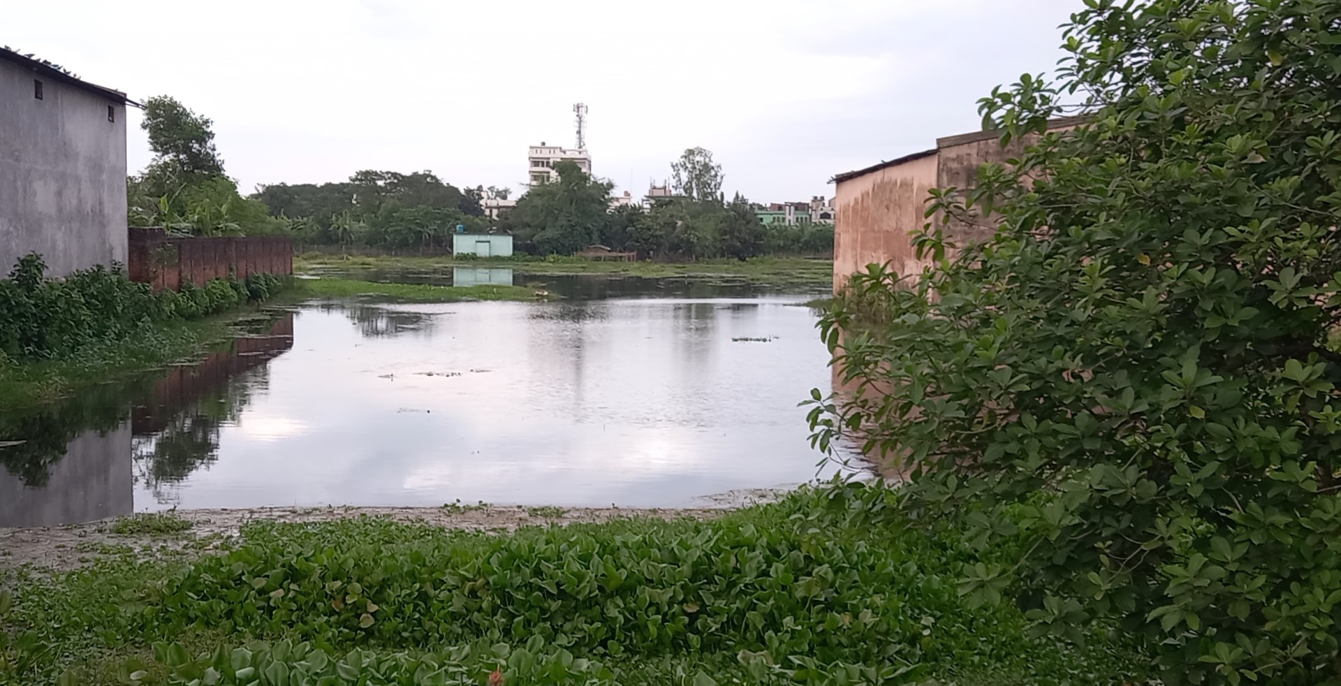 Image_1751026616675.jpg