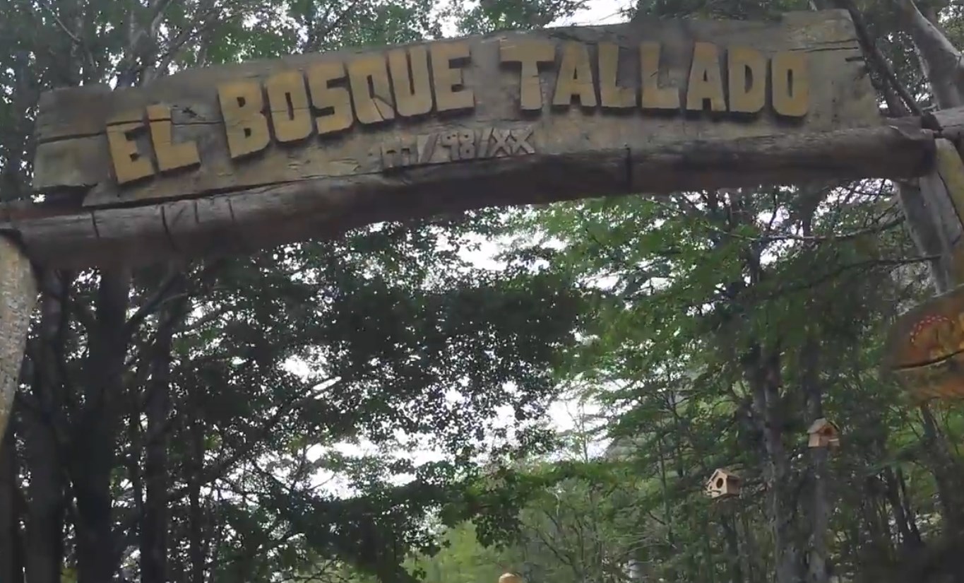 07-bosque-tallado-llegamos.jpg