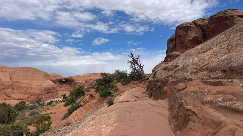 arches np7.jpg