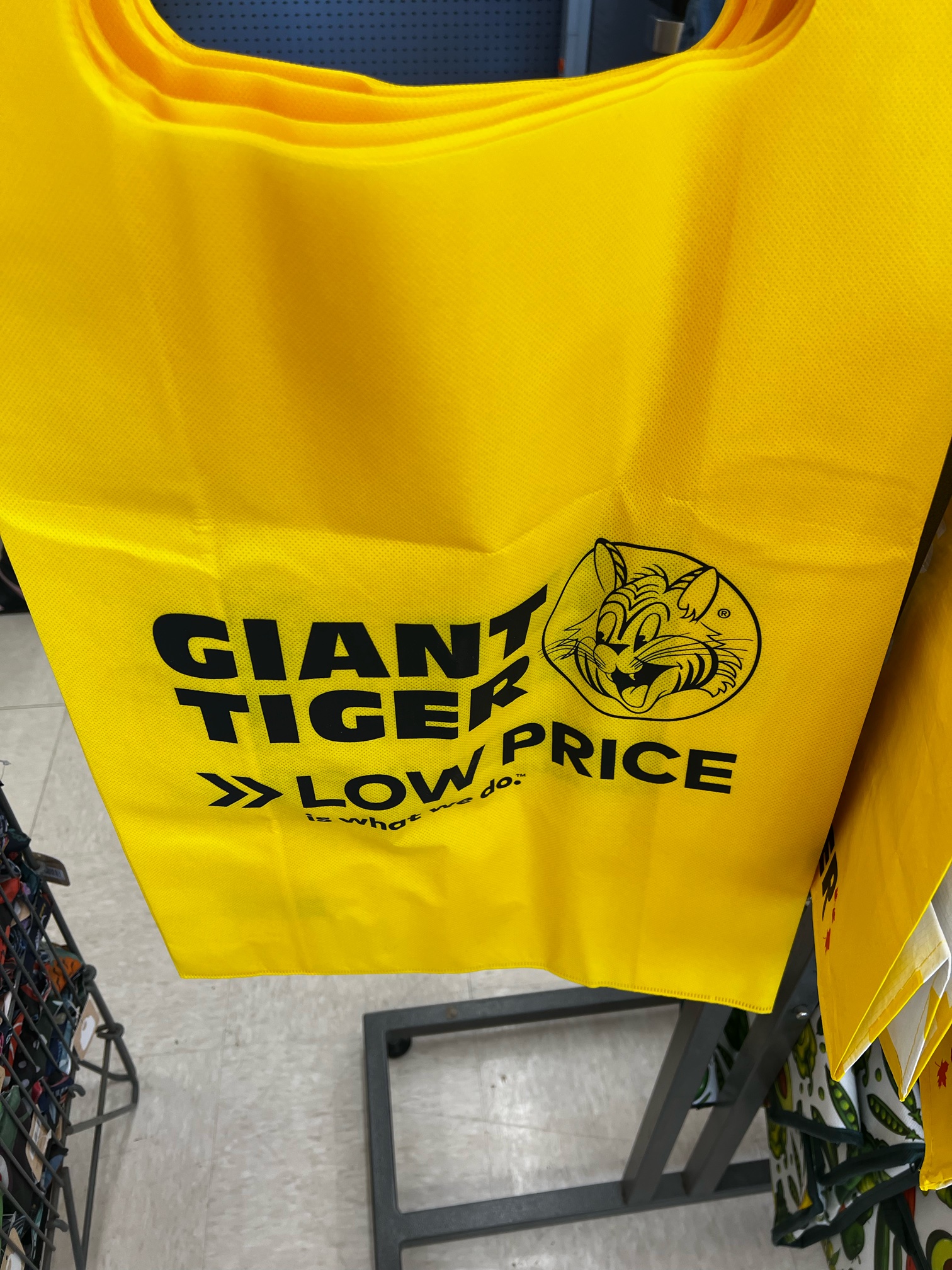 IMG_1907.jpeg