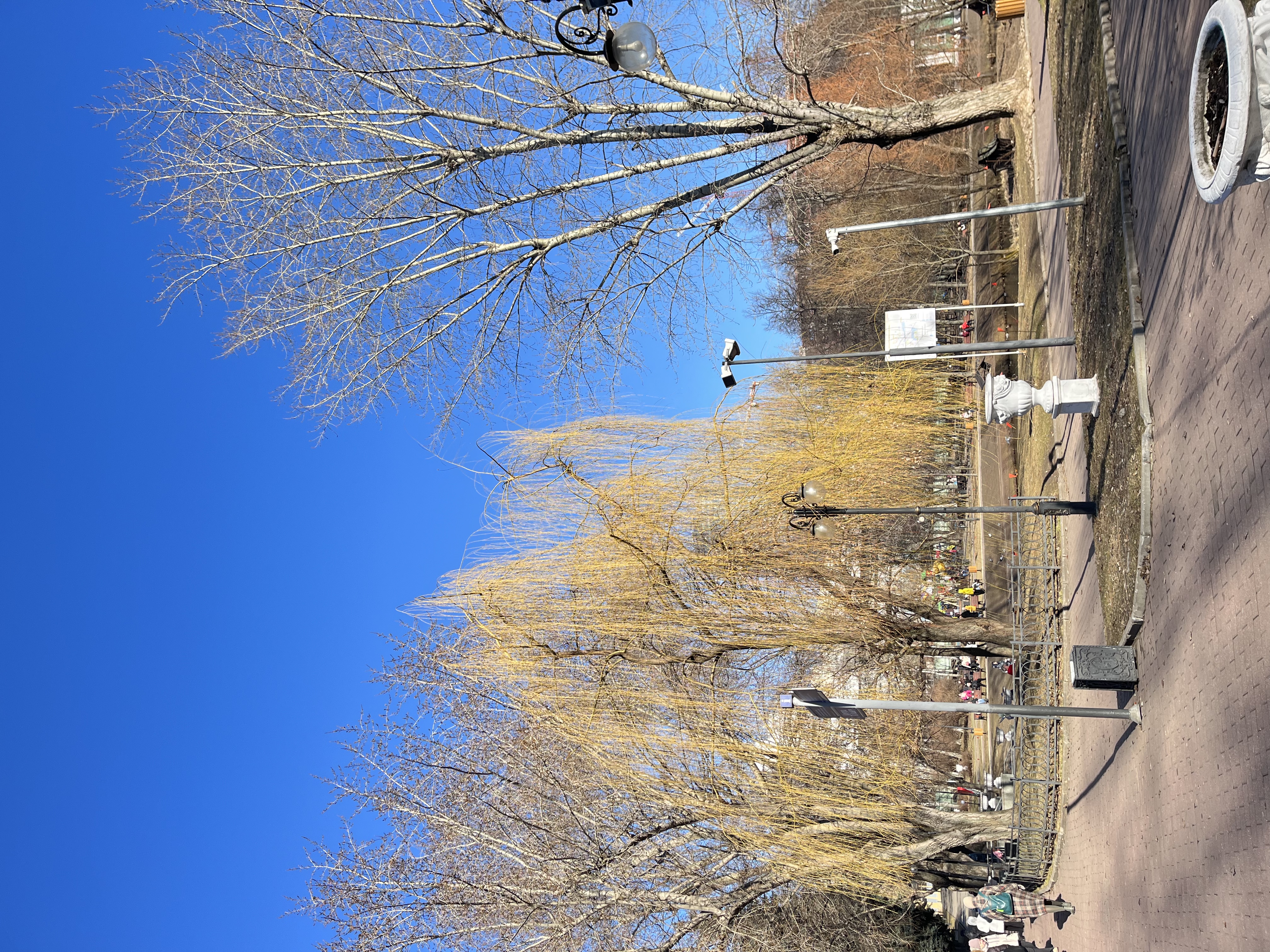 54A25BB9-9981-456C-97AA-A1CB8E5430F7.jpeg