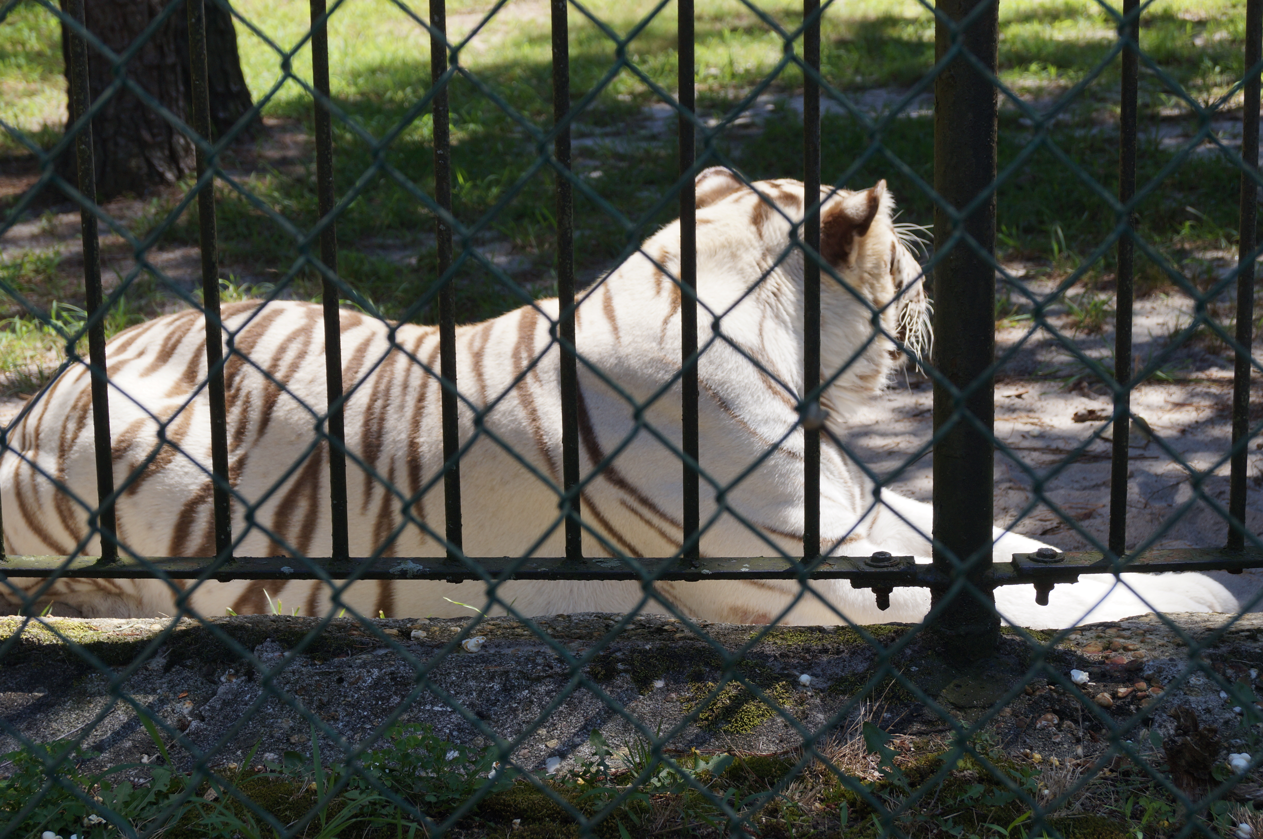 DSC04114.JPG