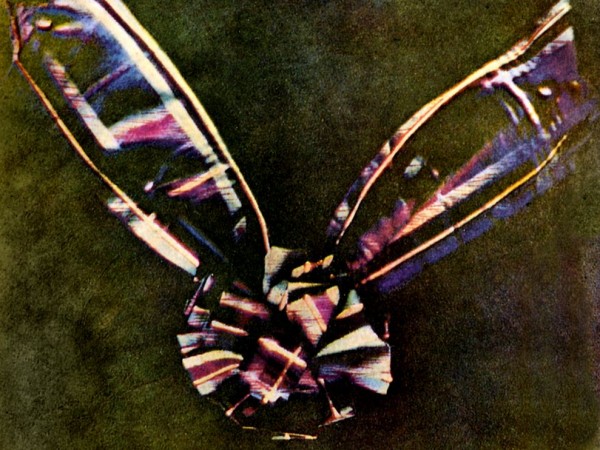 2021-600x450.jpg