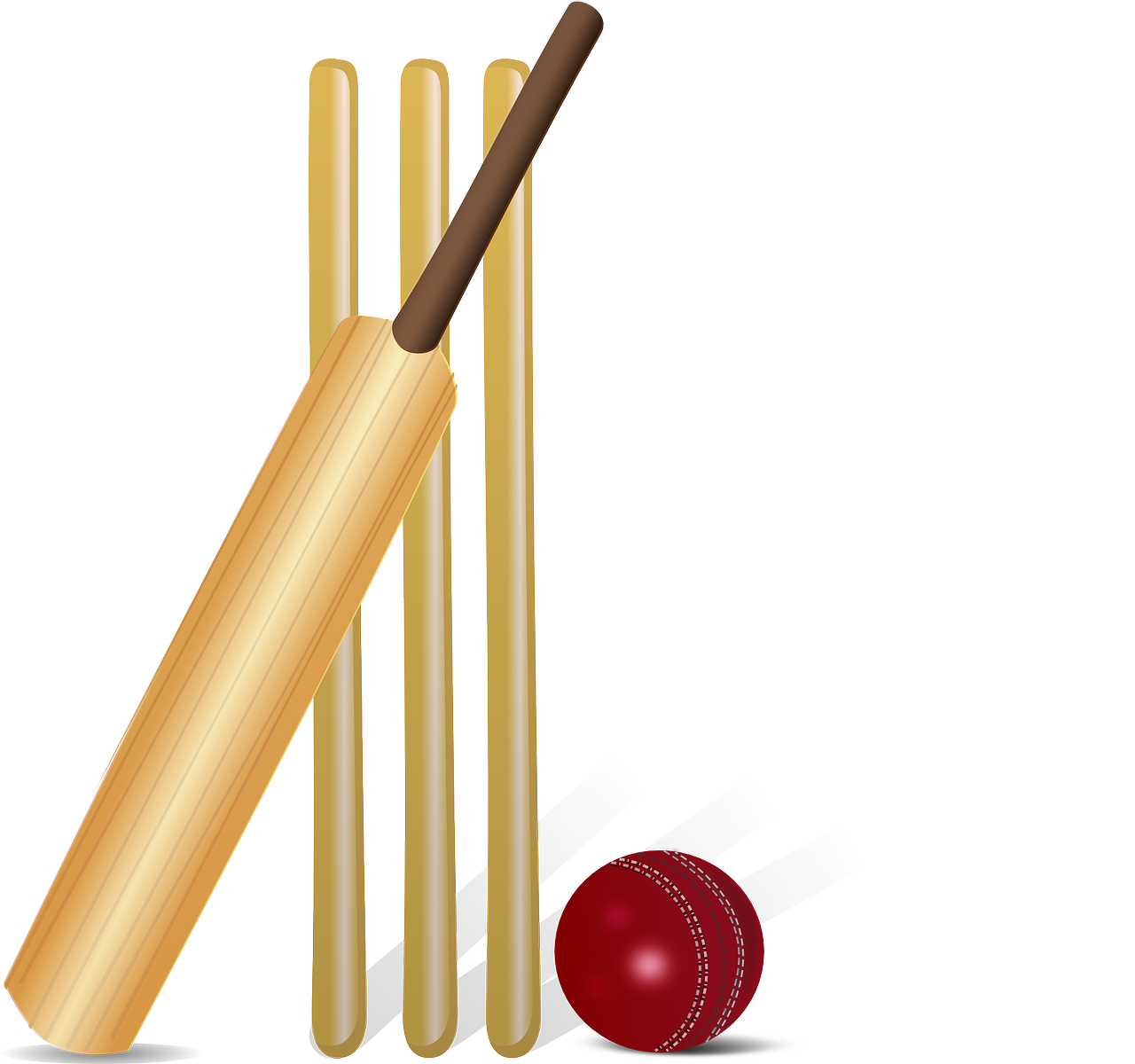 cricket-g771e88910_1280.png