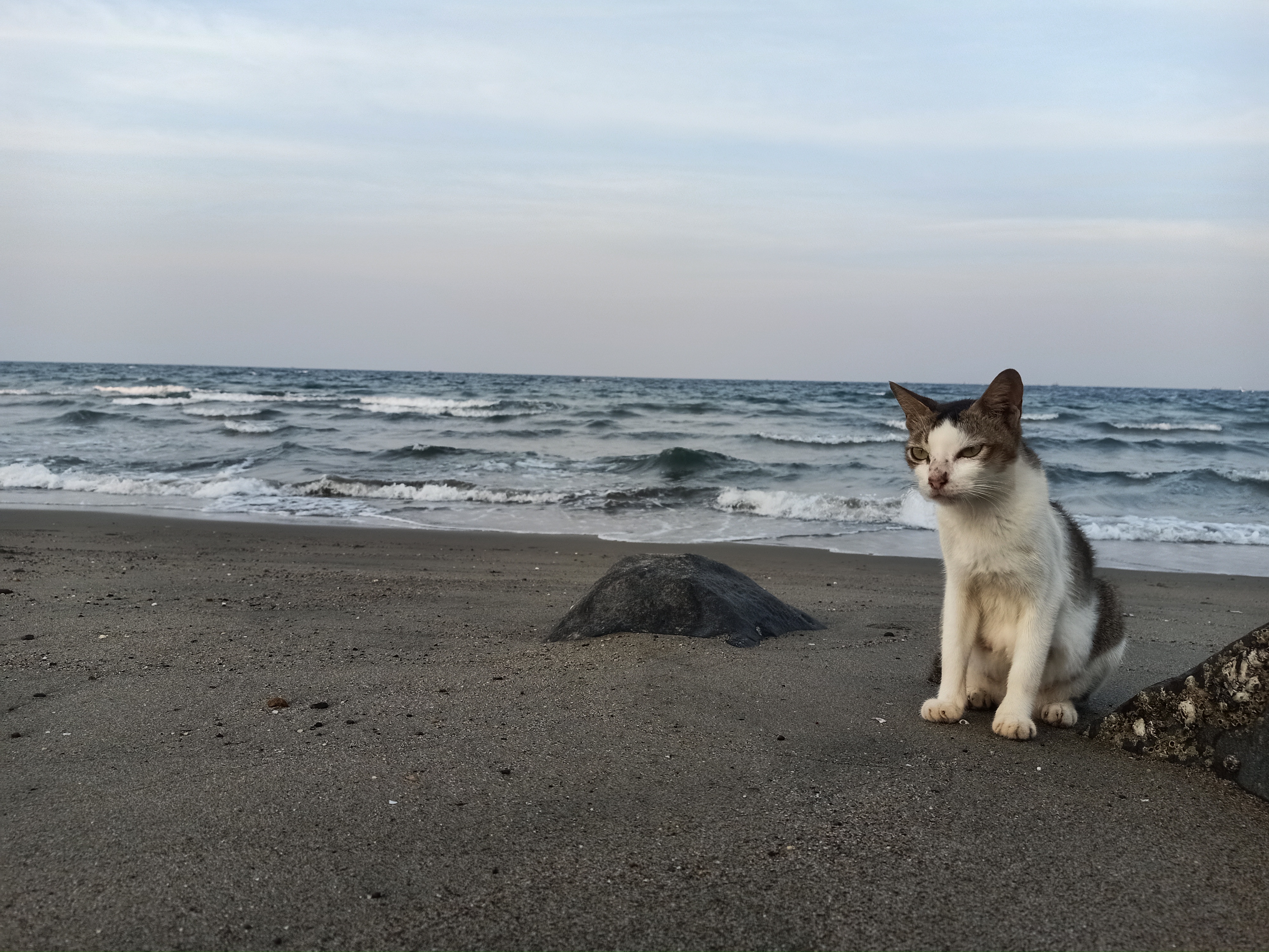 IMG20230225182031.jpg
