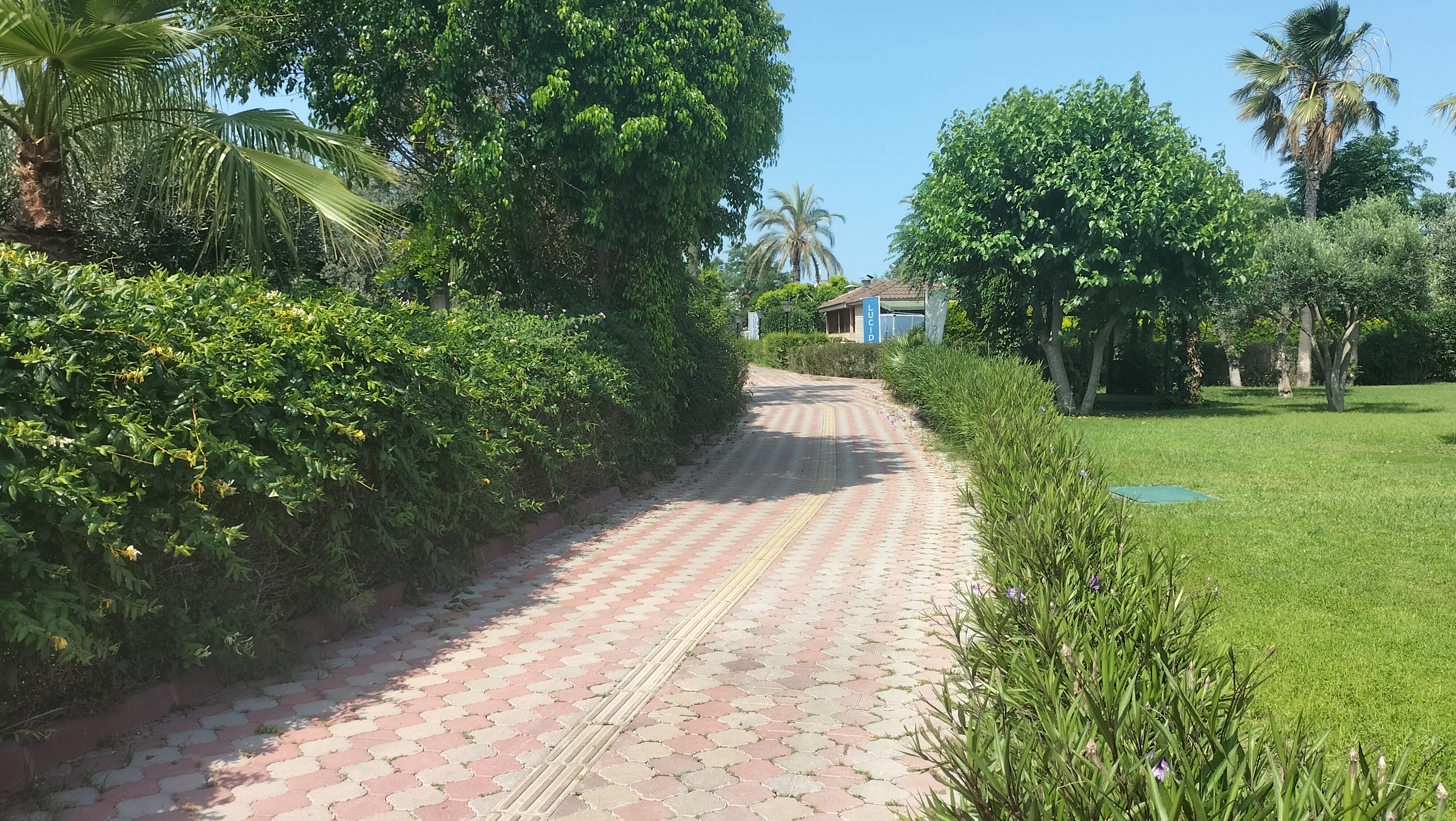 IMG20250615150247.jpg