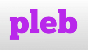 thumb_leb-pleb-meaning-and-pronunciation-youtube-51135543.png