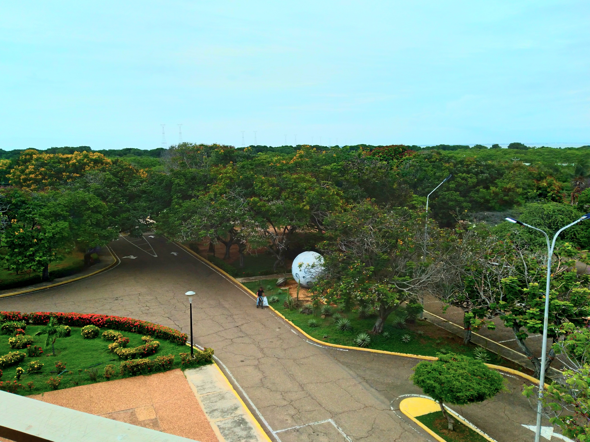 20250426_101216.jpg