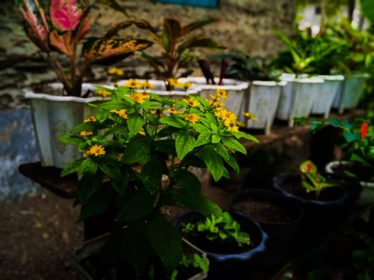 PSX_20220126_224929.jpg