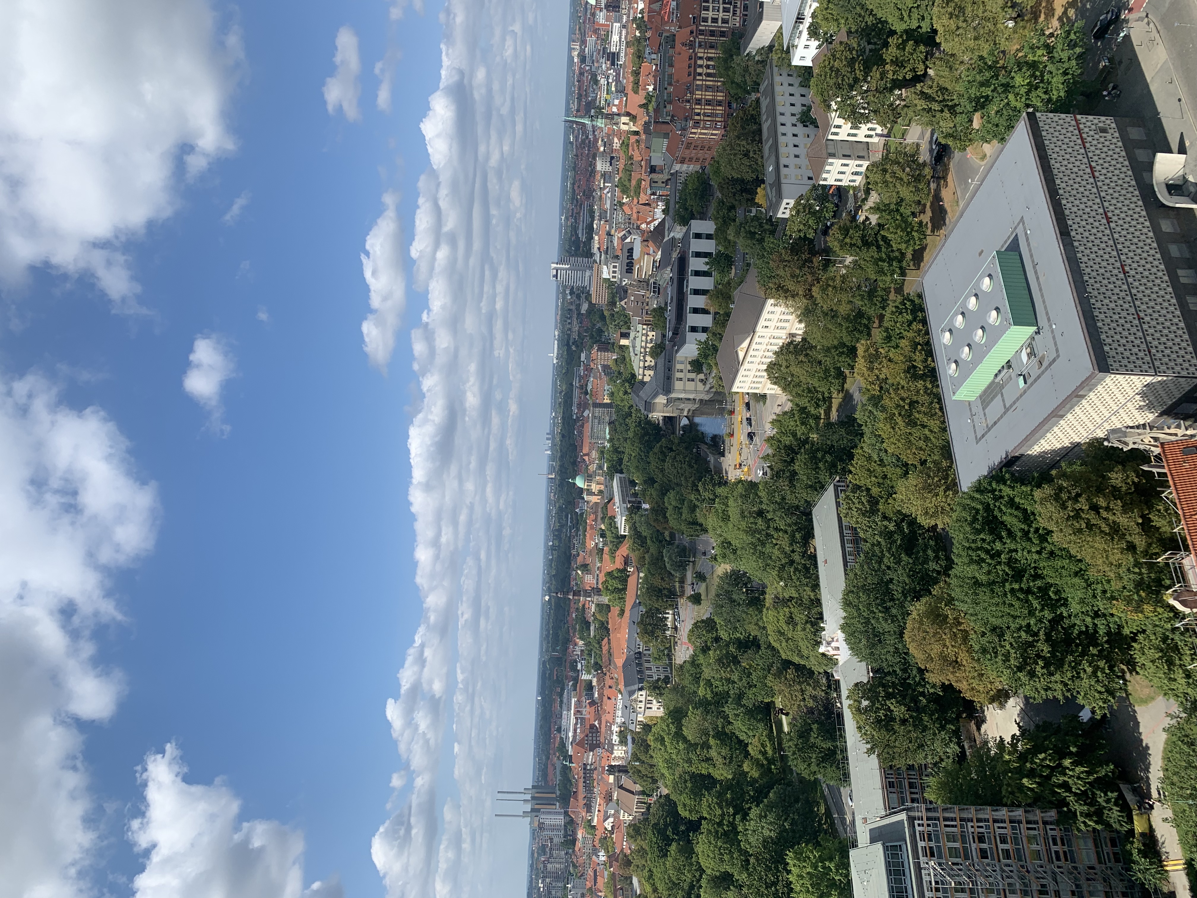 IMG_2222.jpeg