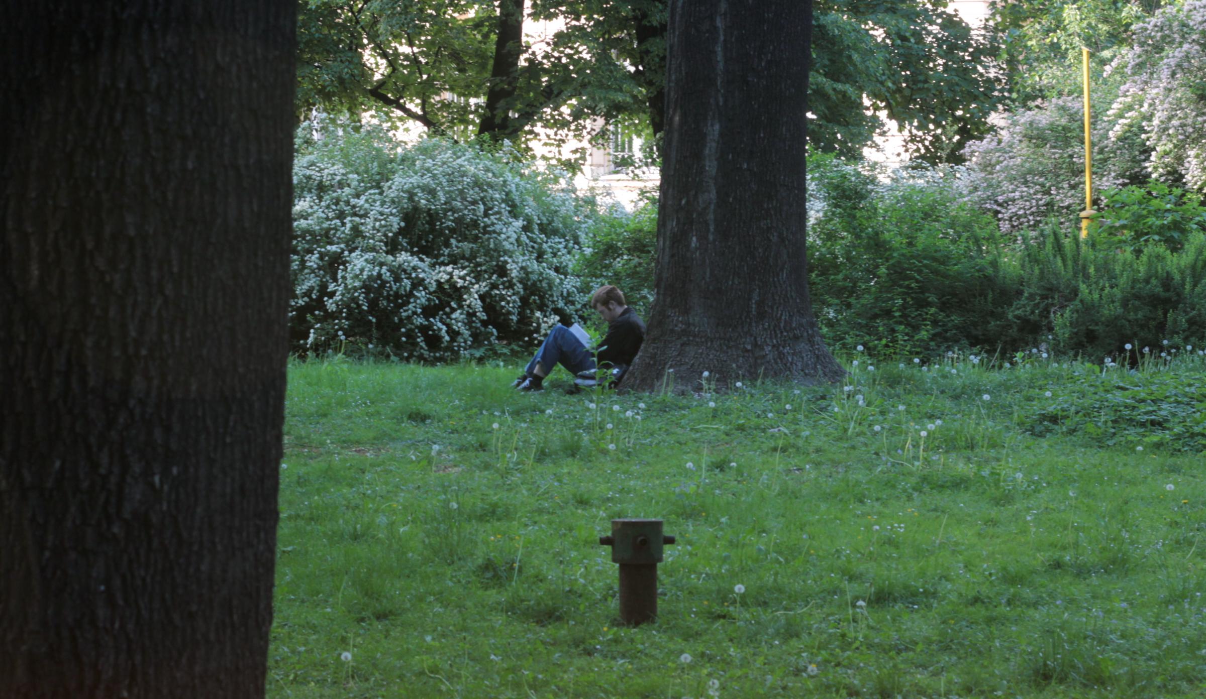 IMG_7286-crop.JPG