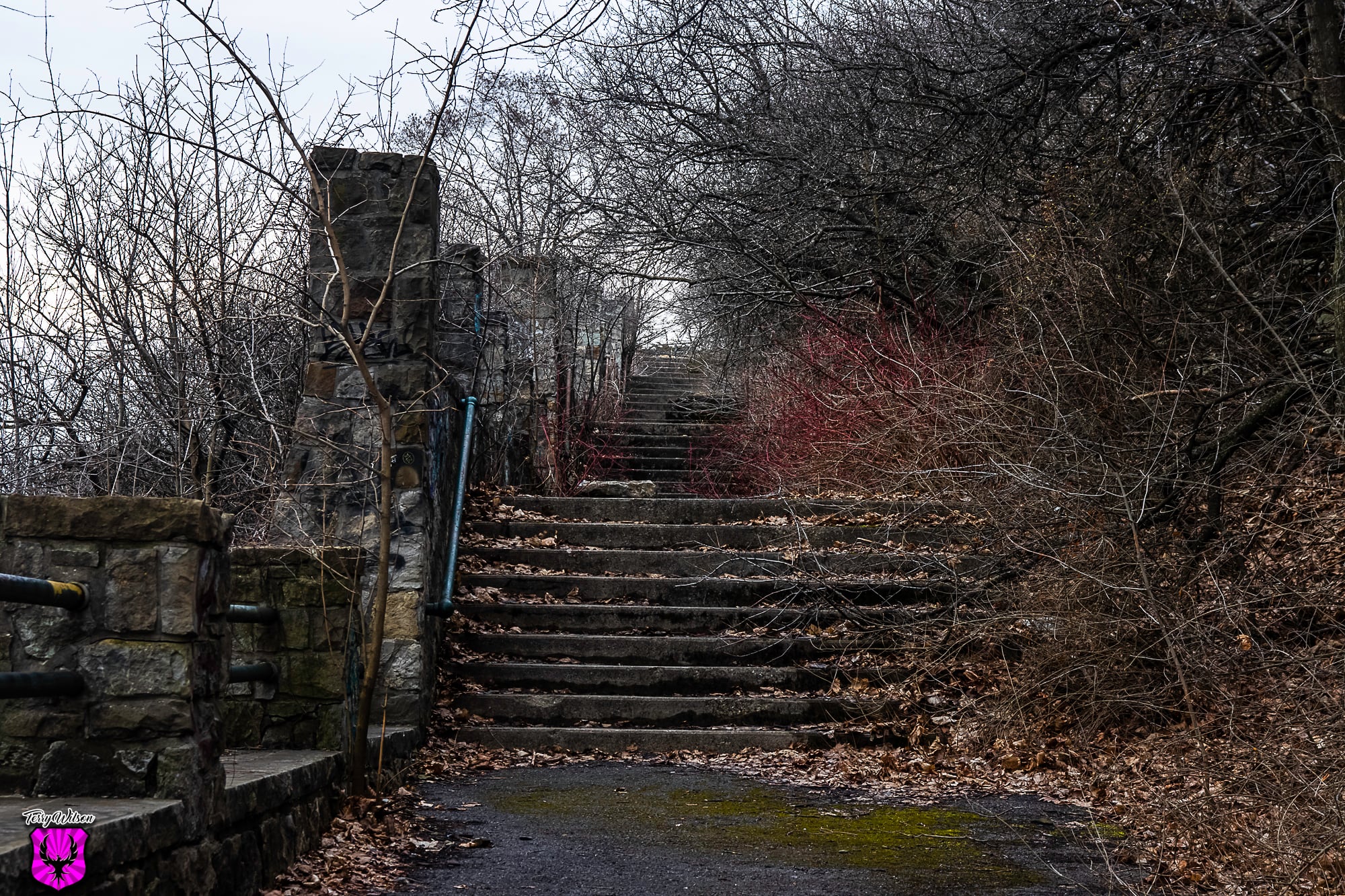 64f4441d-cc06-4d4f-8f82-e0b56cbc8bda.jpg