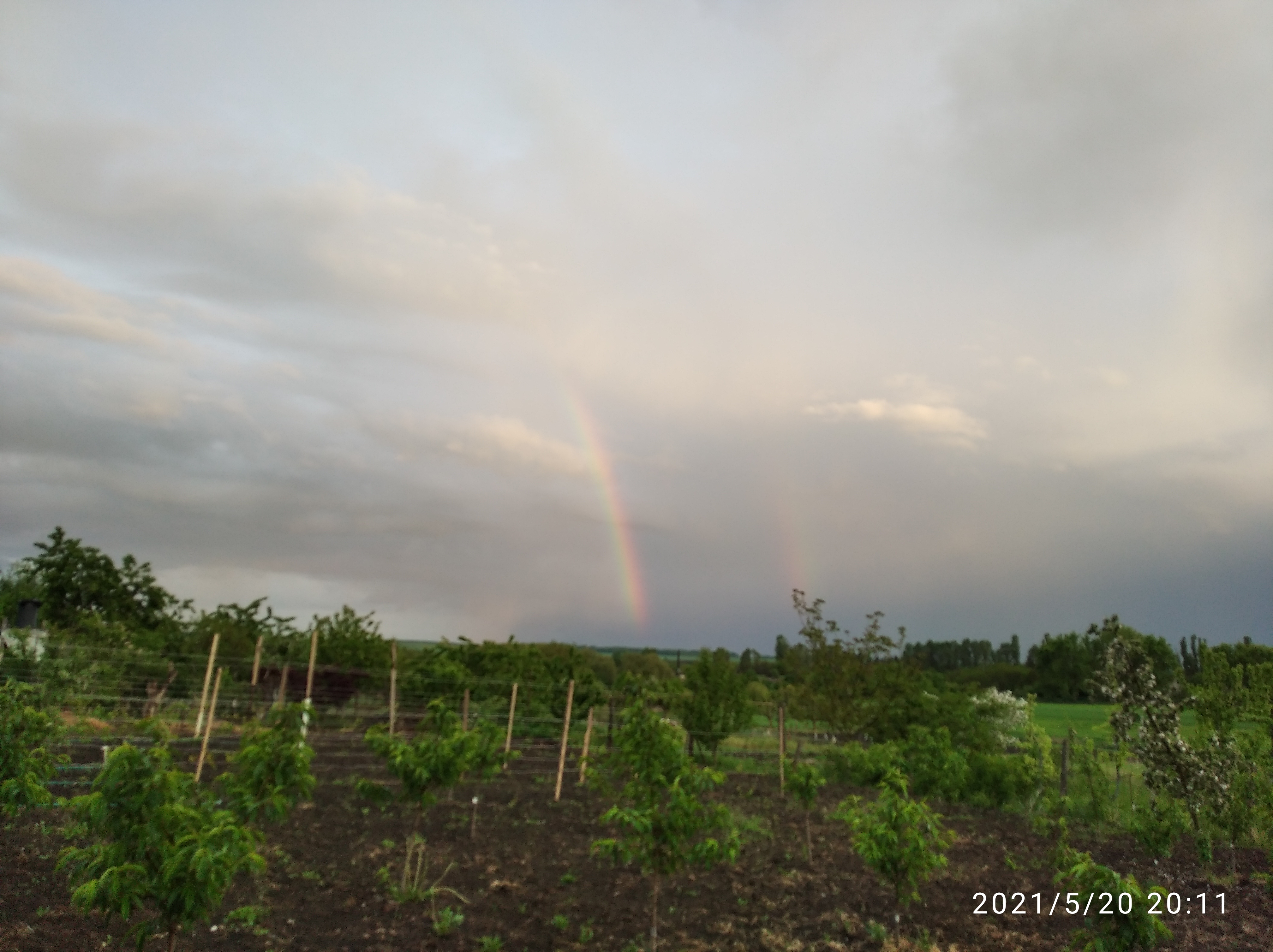 IMG_20210520_201134.jpg