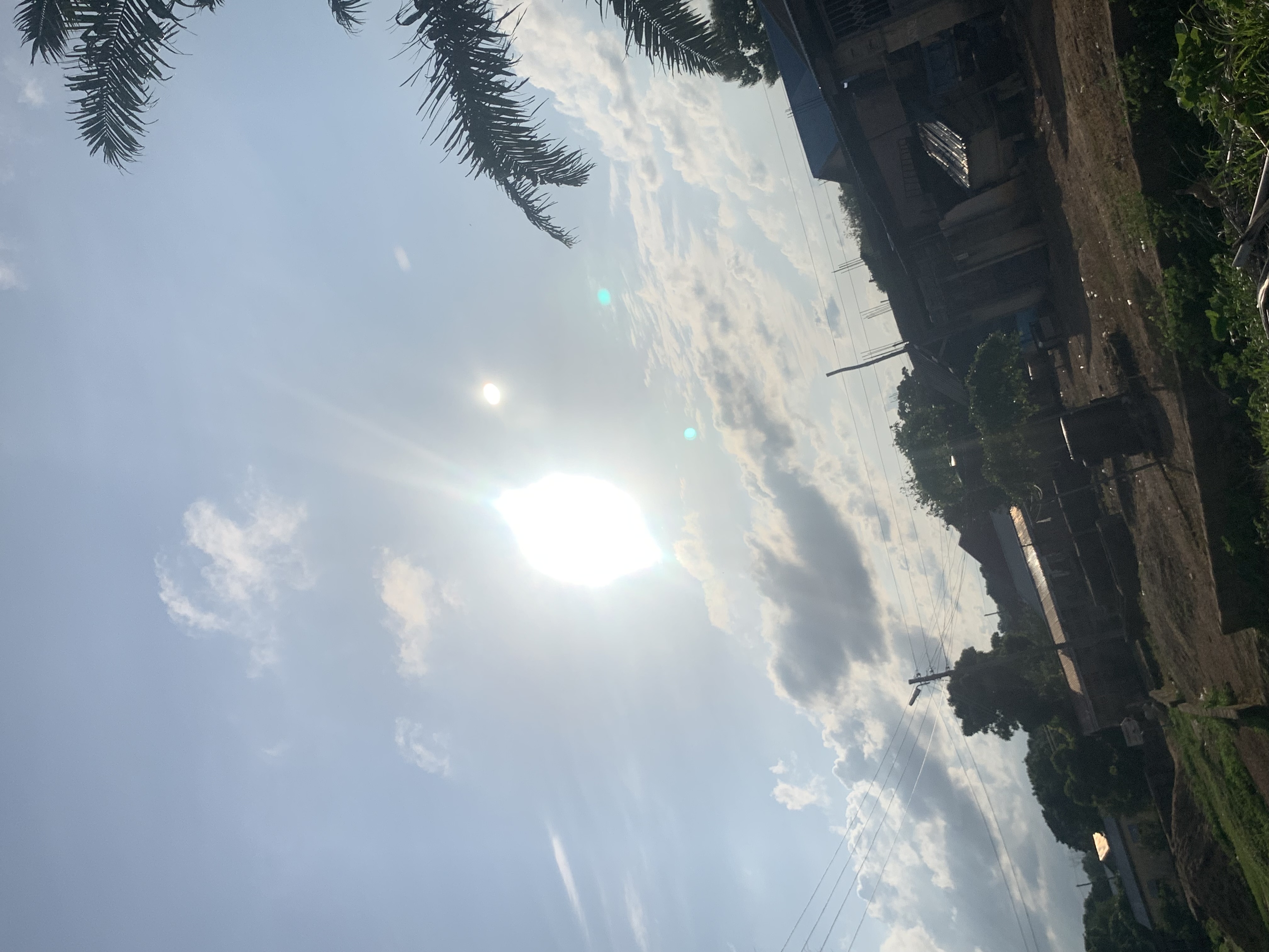 IMG_0596.jpeg