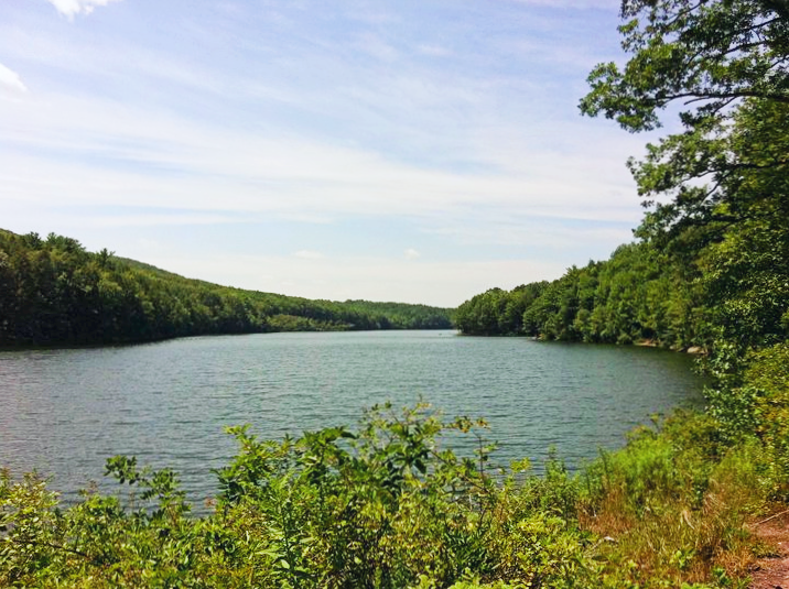 Tuscarora State Park, Pennsylvania.png