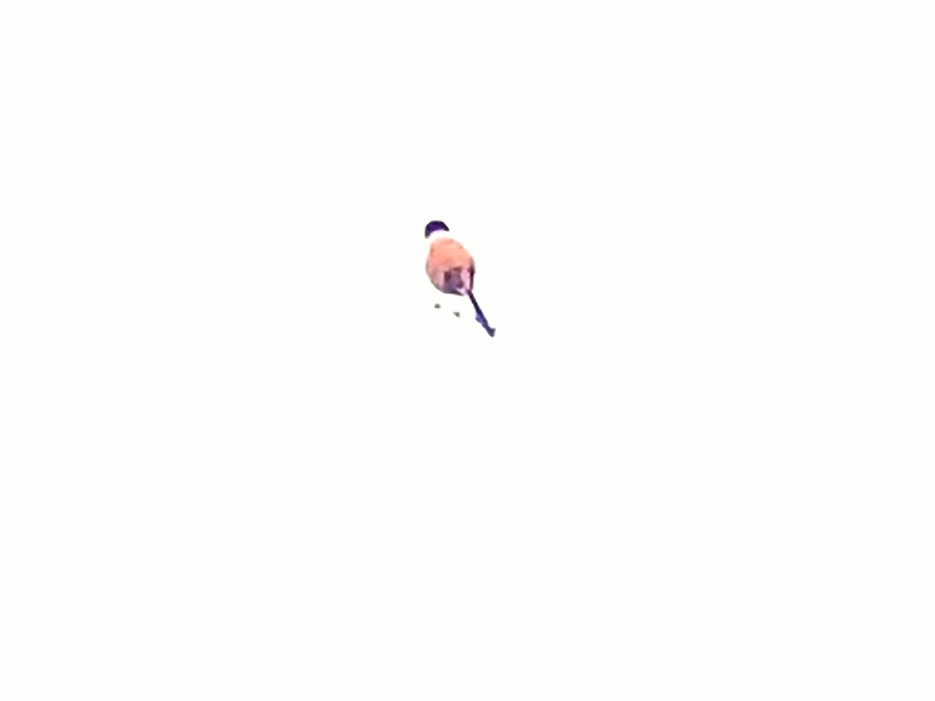 20250321_162217~3.jpg