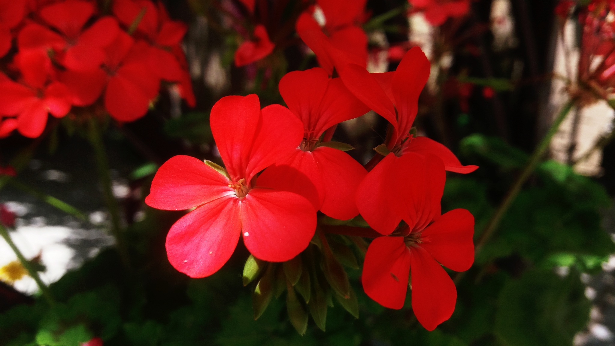 CYMERA_20200518_122012.jpg